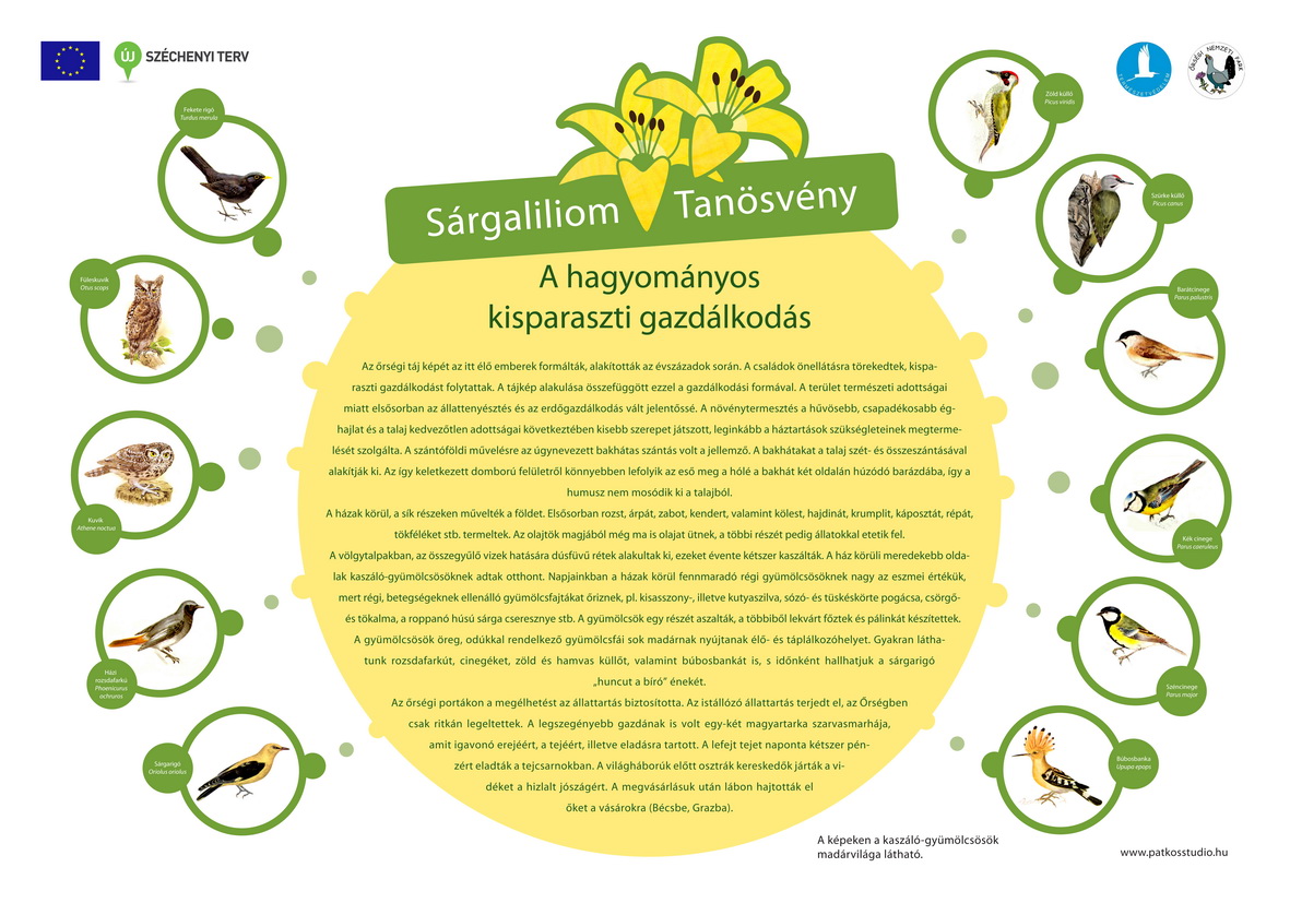 Rezgő nyár és Sárgaliliom tanösvény felújítása az Őrségben