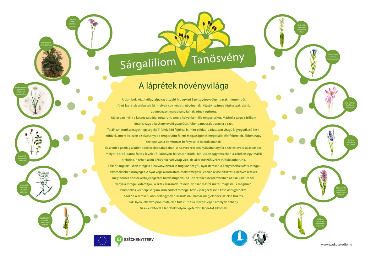 Rezgő nyár és Sárgaliliom tanösvény felújítása az Őrségben