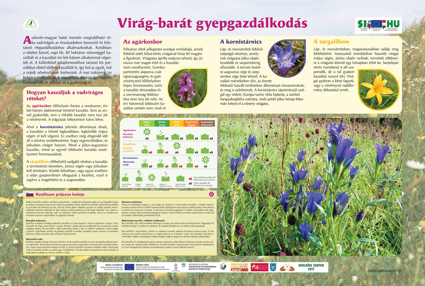 Harmóniában a tájjal - természetbarát gyepgazdálkodás