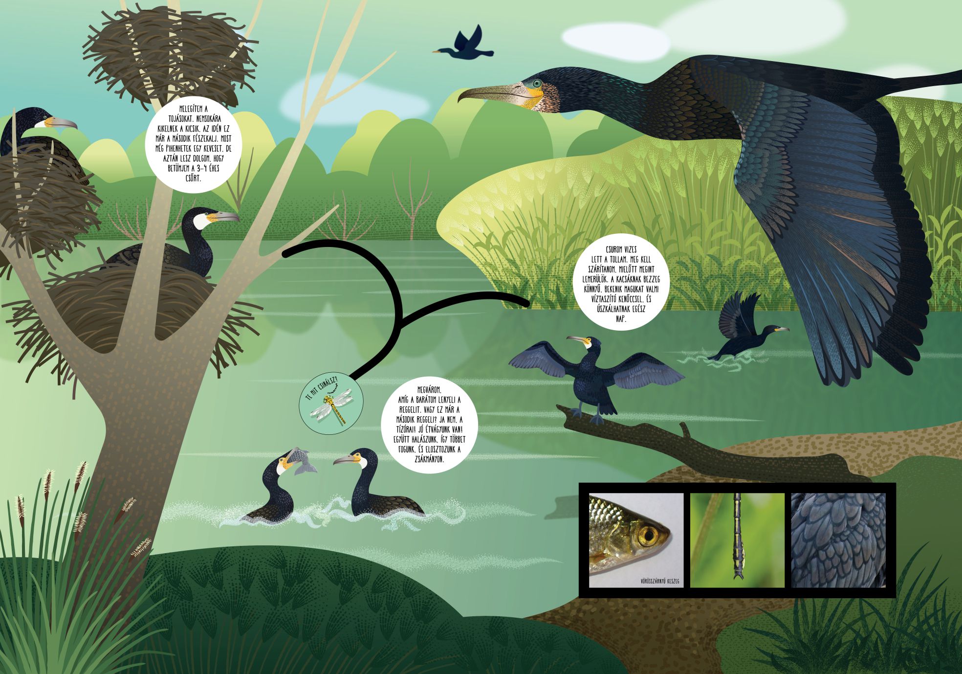 Ovis tanösvény, Tiszaalpár