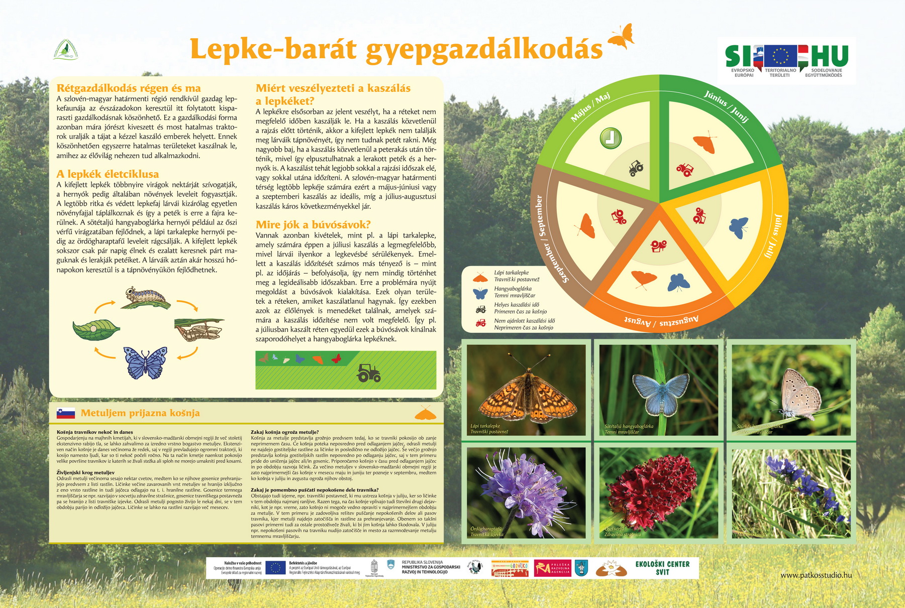 Landscape in harmony - Falcatura in armonia alla natura