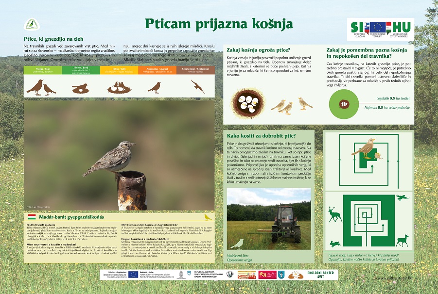 Landscape in harmony - Falcatura in armonia alla natura