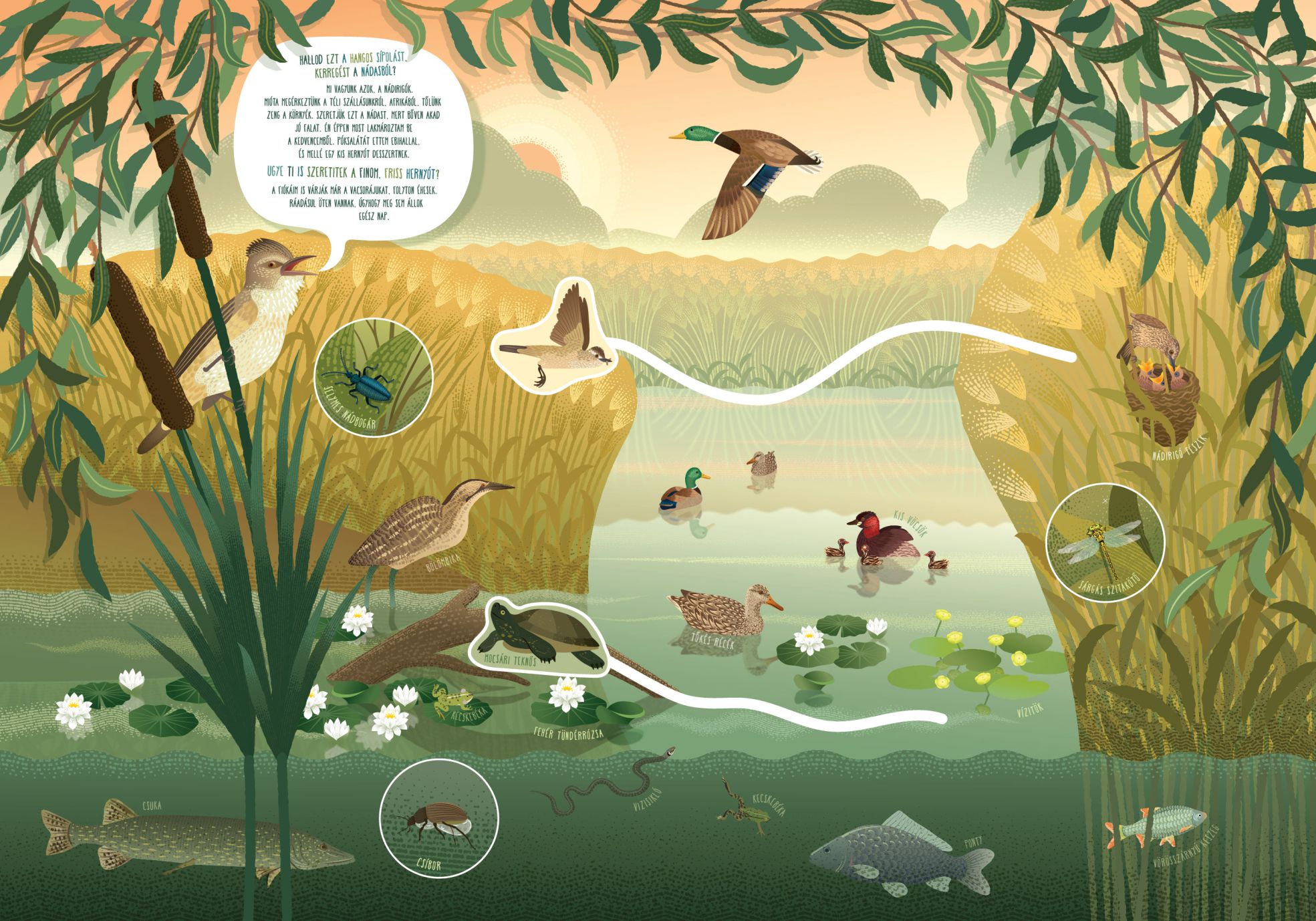 Ovis tanösvény, Tiszaalpár