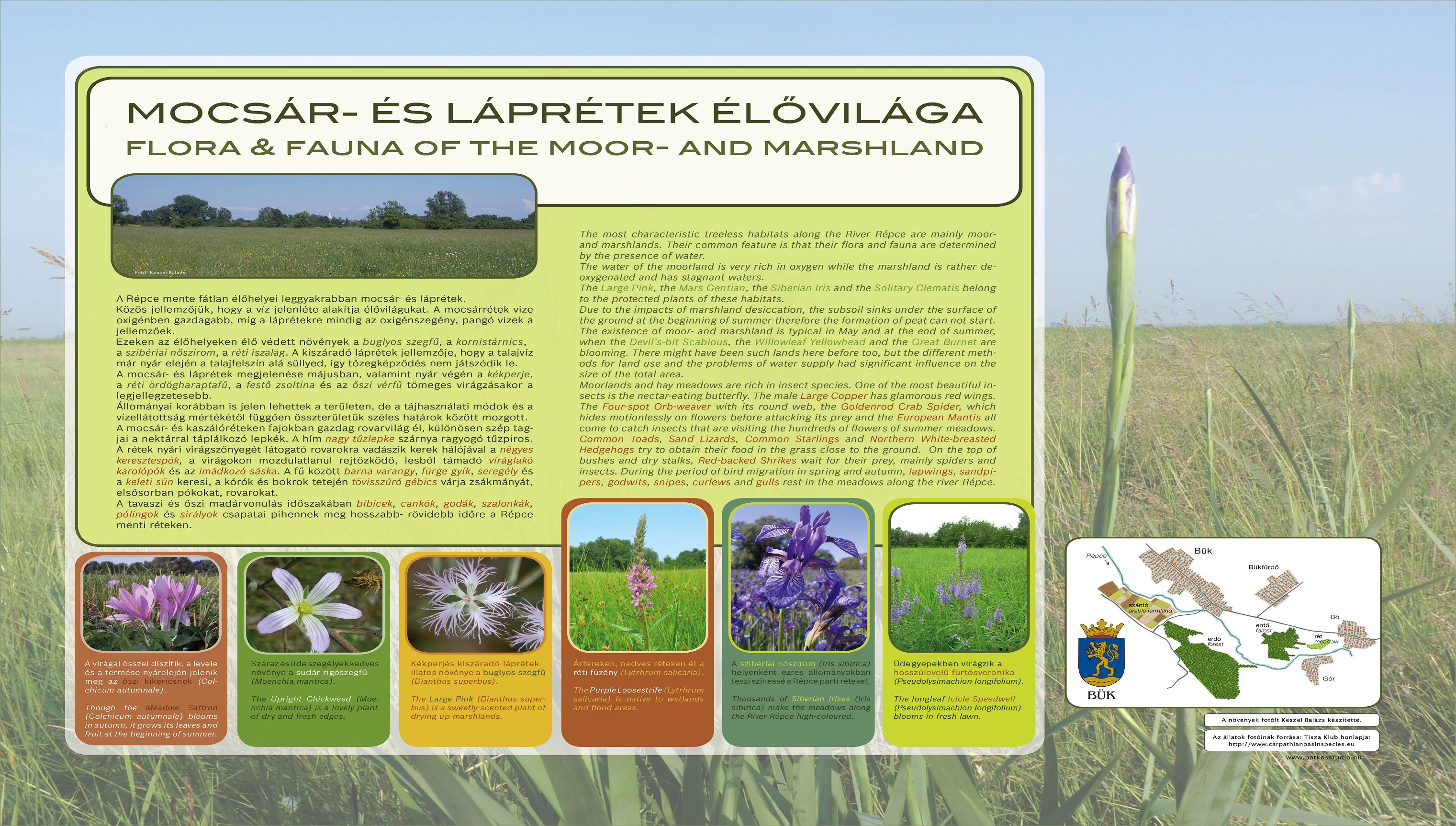 Élőhelyeket bemutató tanösvény - Bük