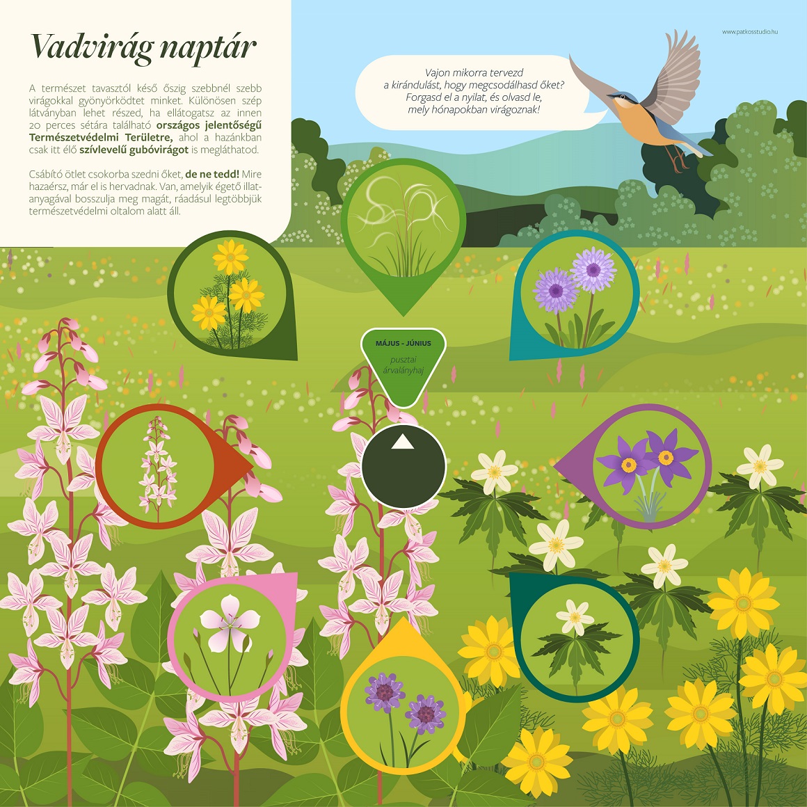 Bécsi-domb tanösvény, Sopron