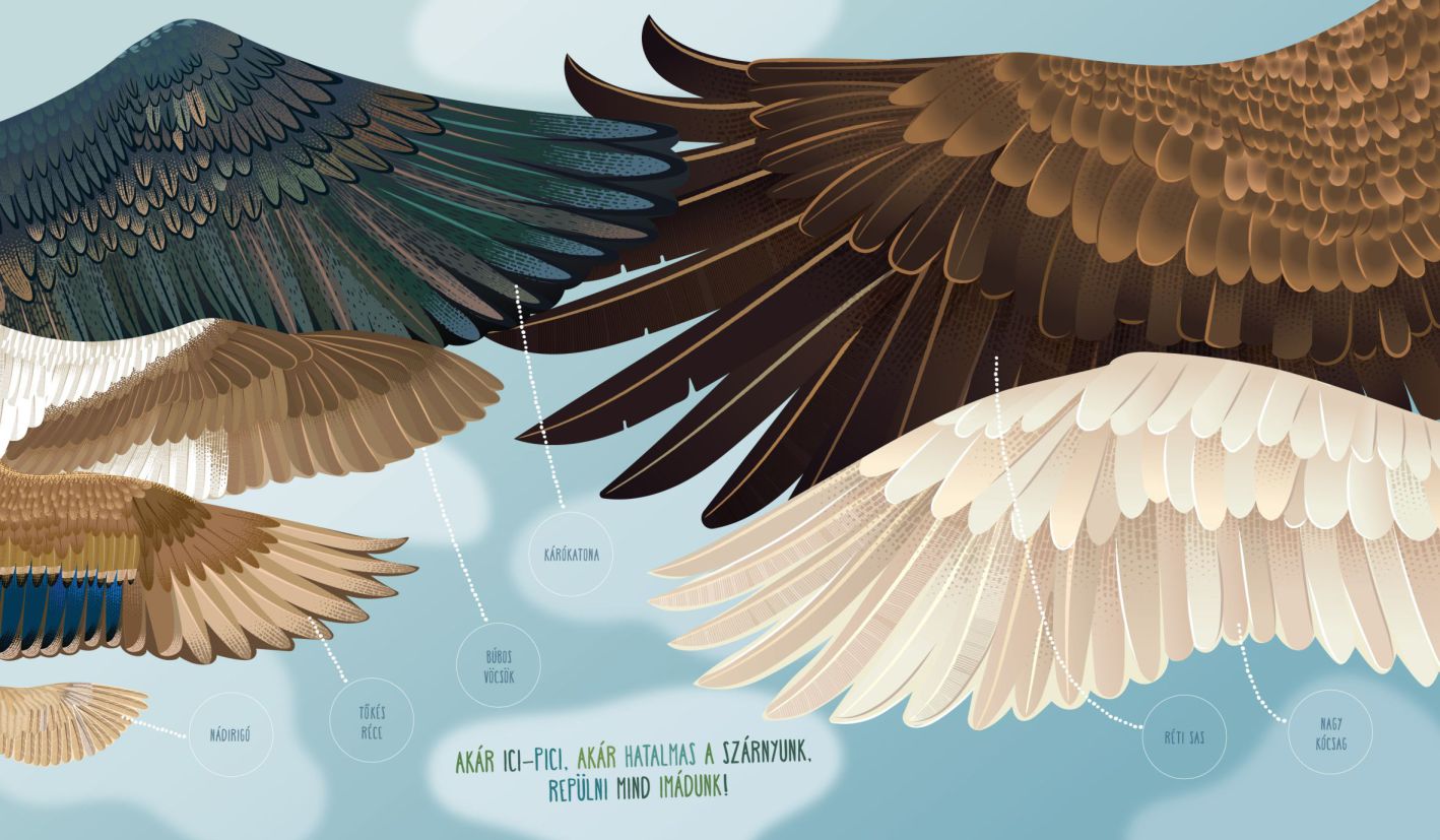 Ovis tanösvény, Tiszaalpár