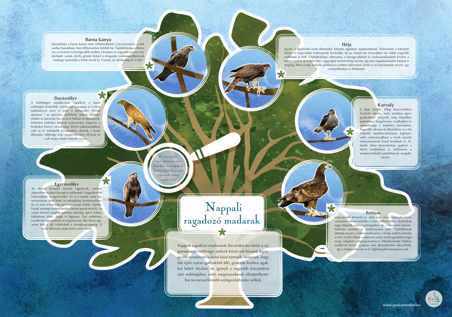 Sentiero degli uccelli