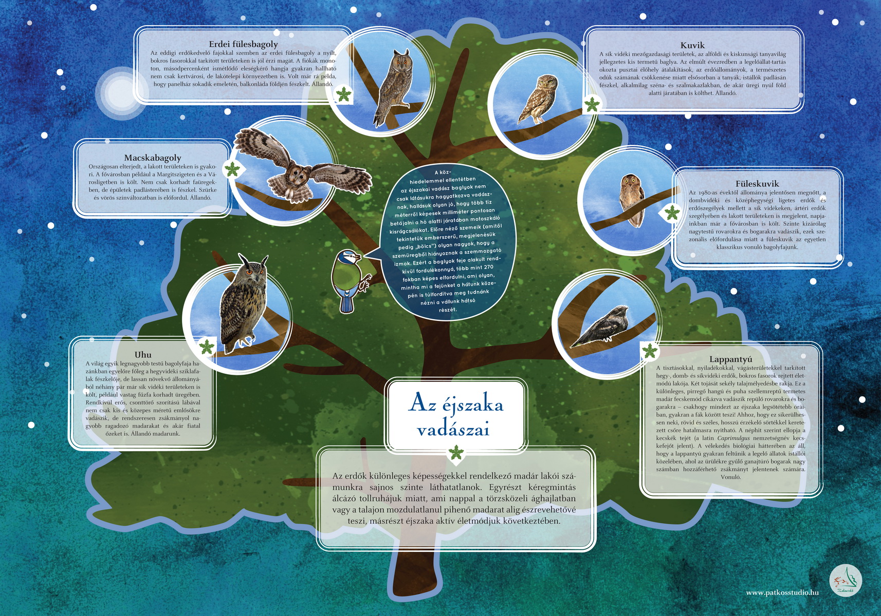 Sentiero degli uccelli