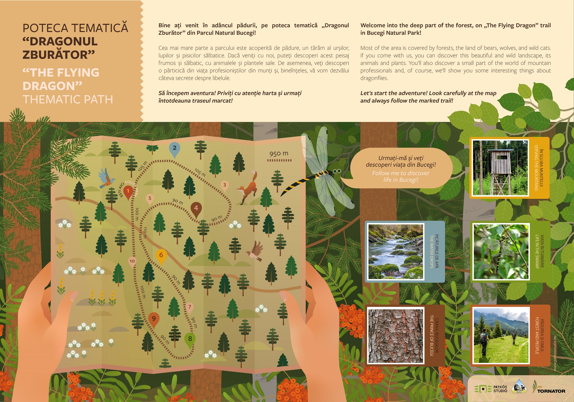 Szitakötő tanösvény, Bucsecs Nemzeti Park