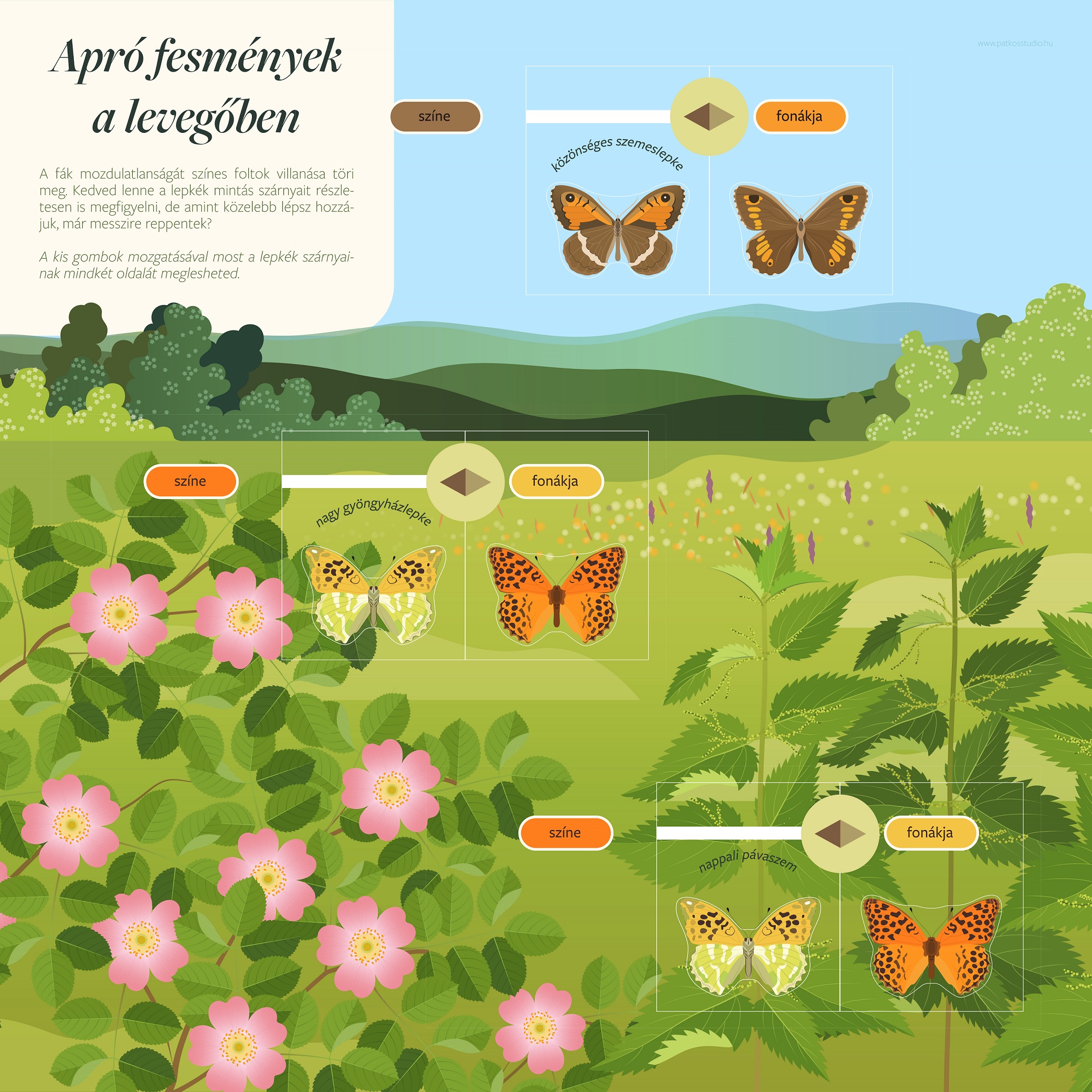 Bécsi-domb tanösvény, Sopron