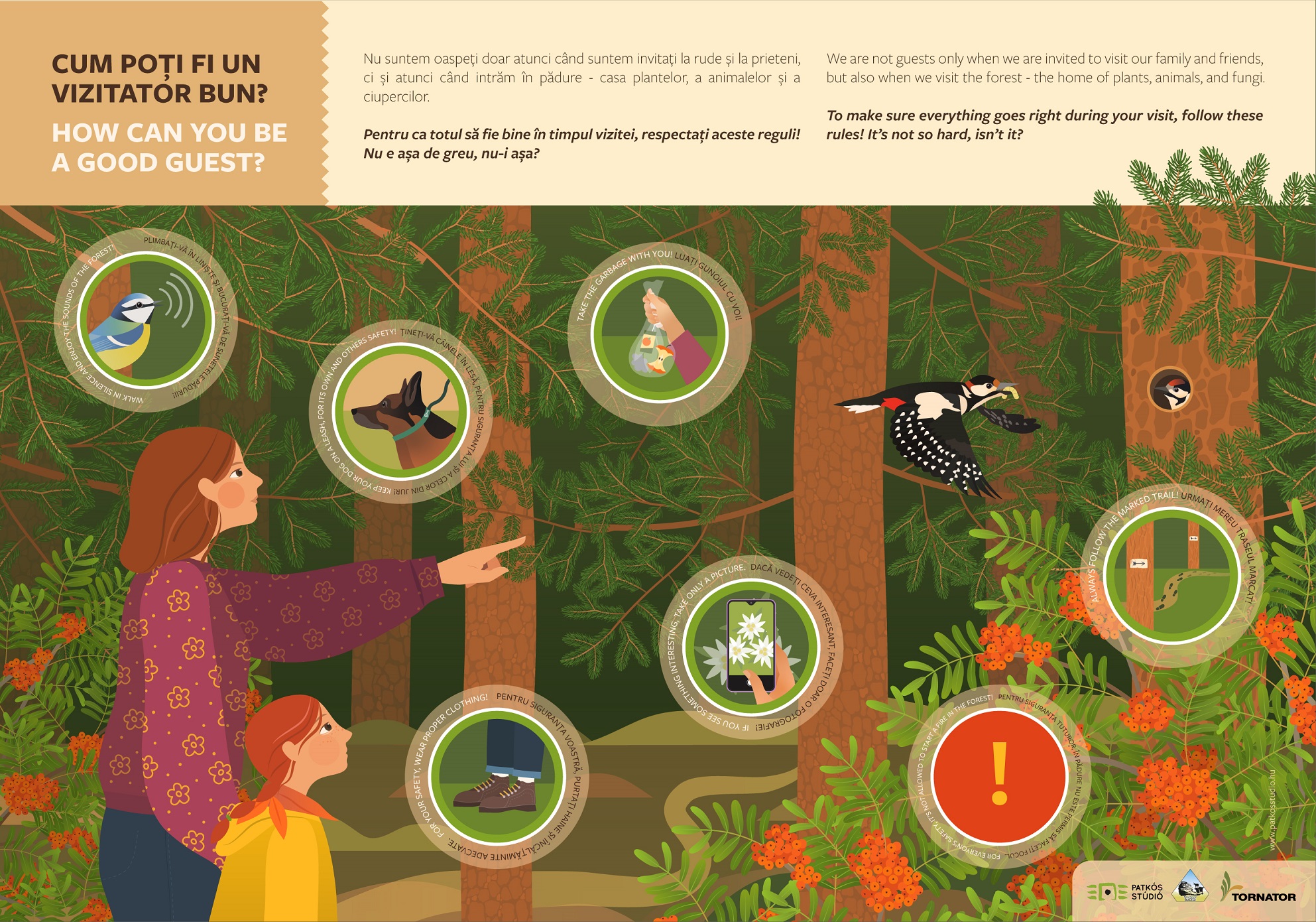 Szitakötő tanösvény, Bucsecs Nemzeti Park