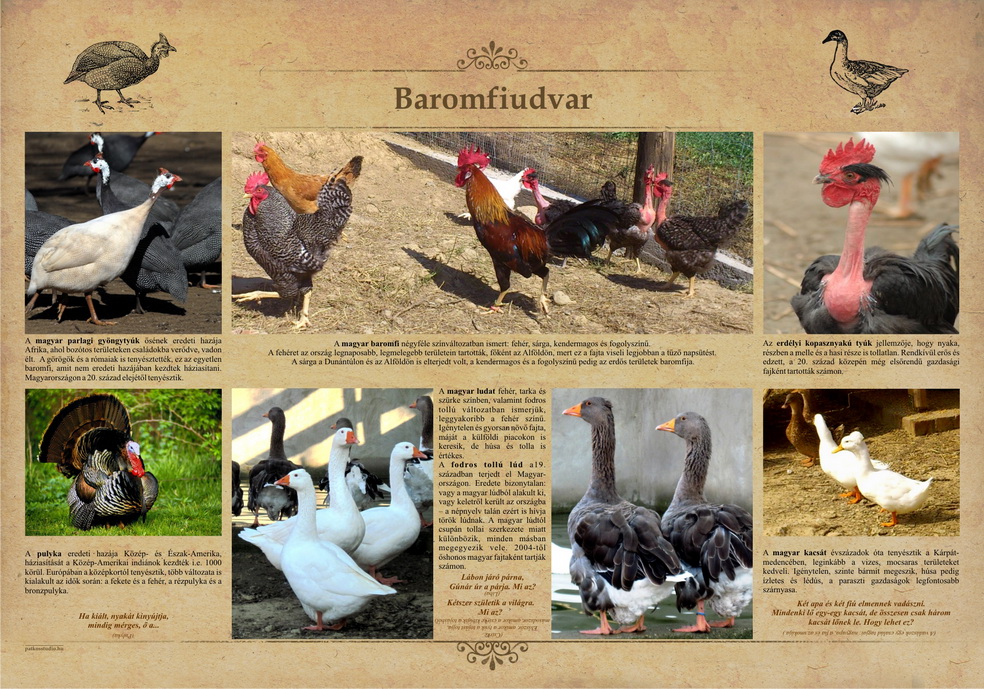 Tanösvények Bükkösdön