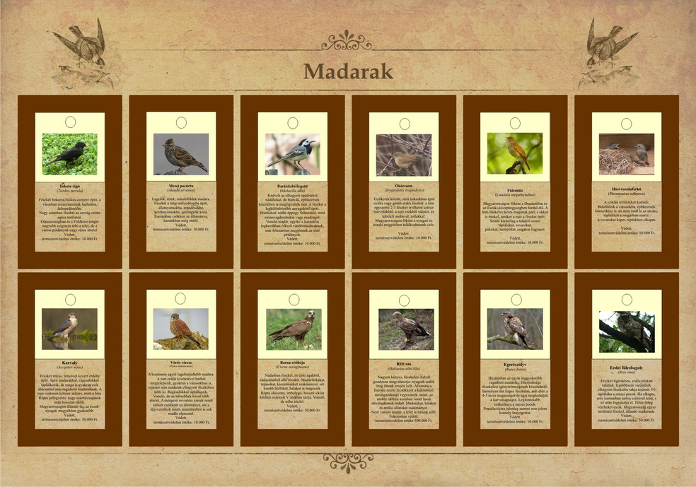 Tanösvények Bükkösdön