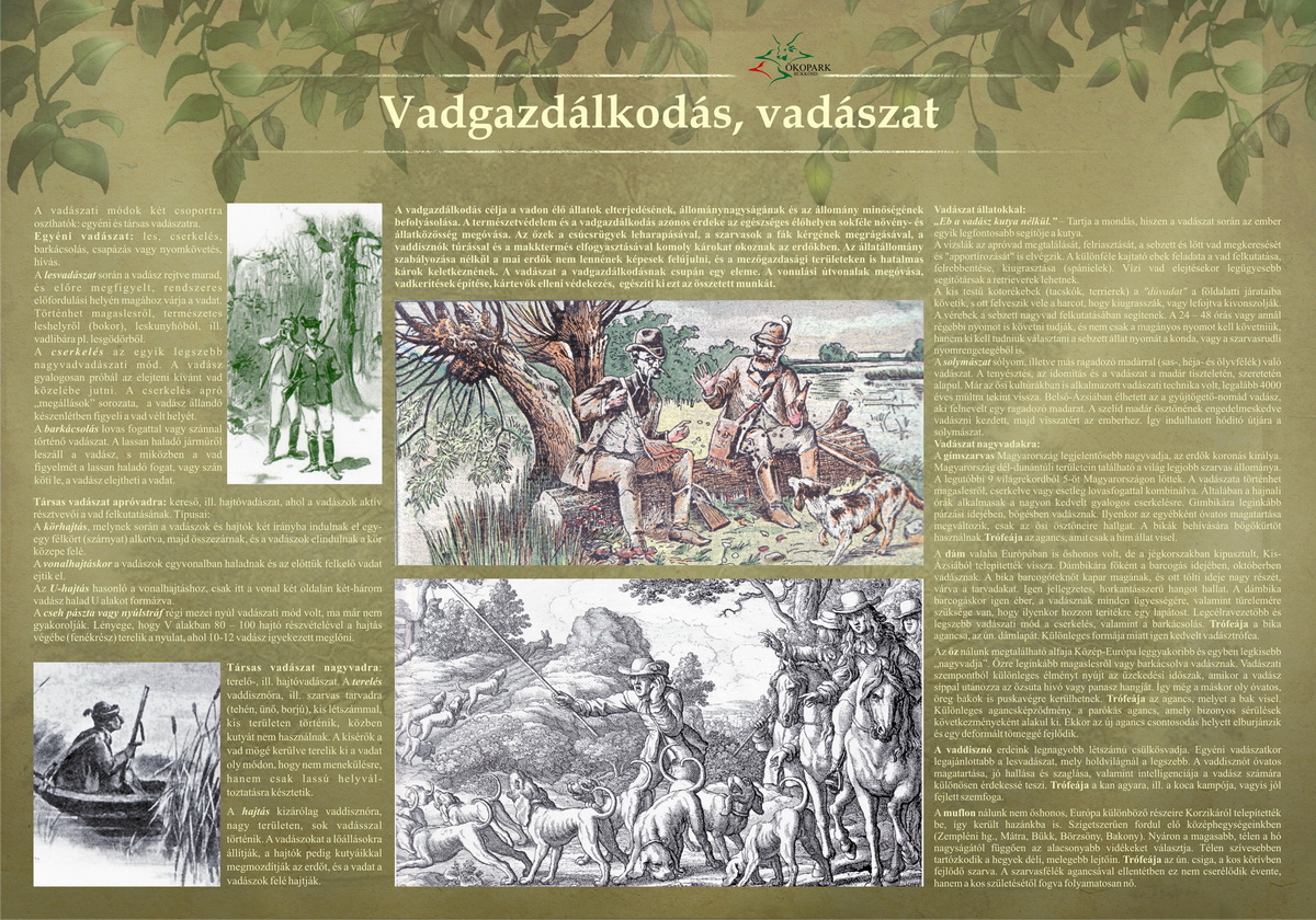 Tanösvények Bükkösdön