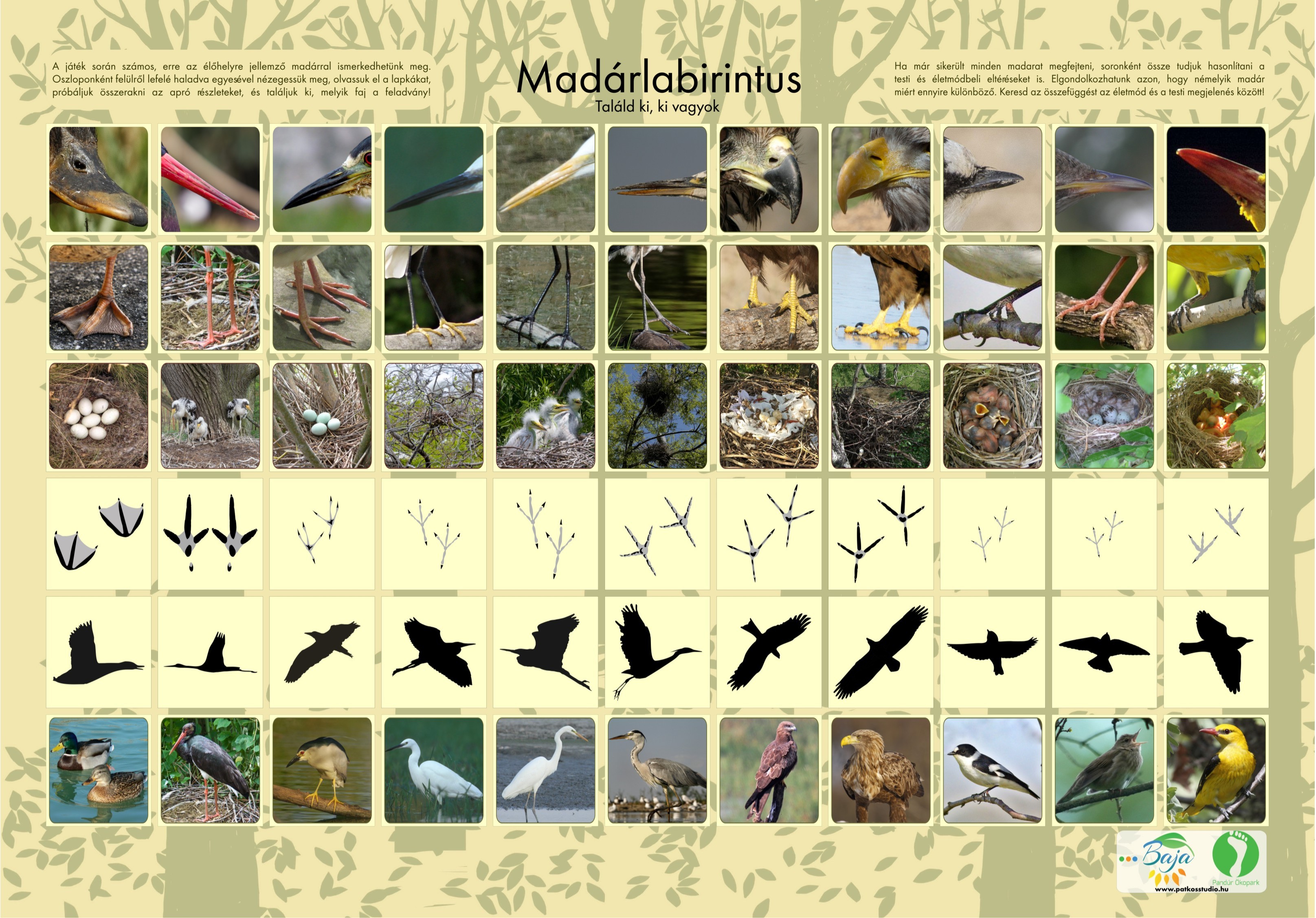 Sentiero naturale sull’ isola di Baja