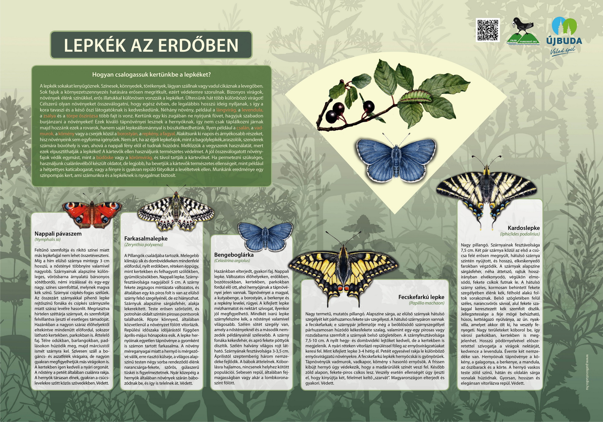 Il sentiero naturale di Kamaraerdő 