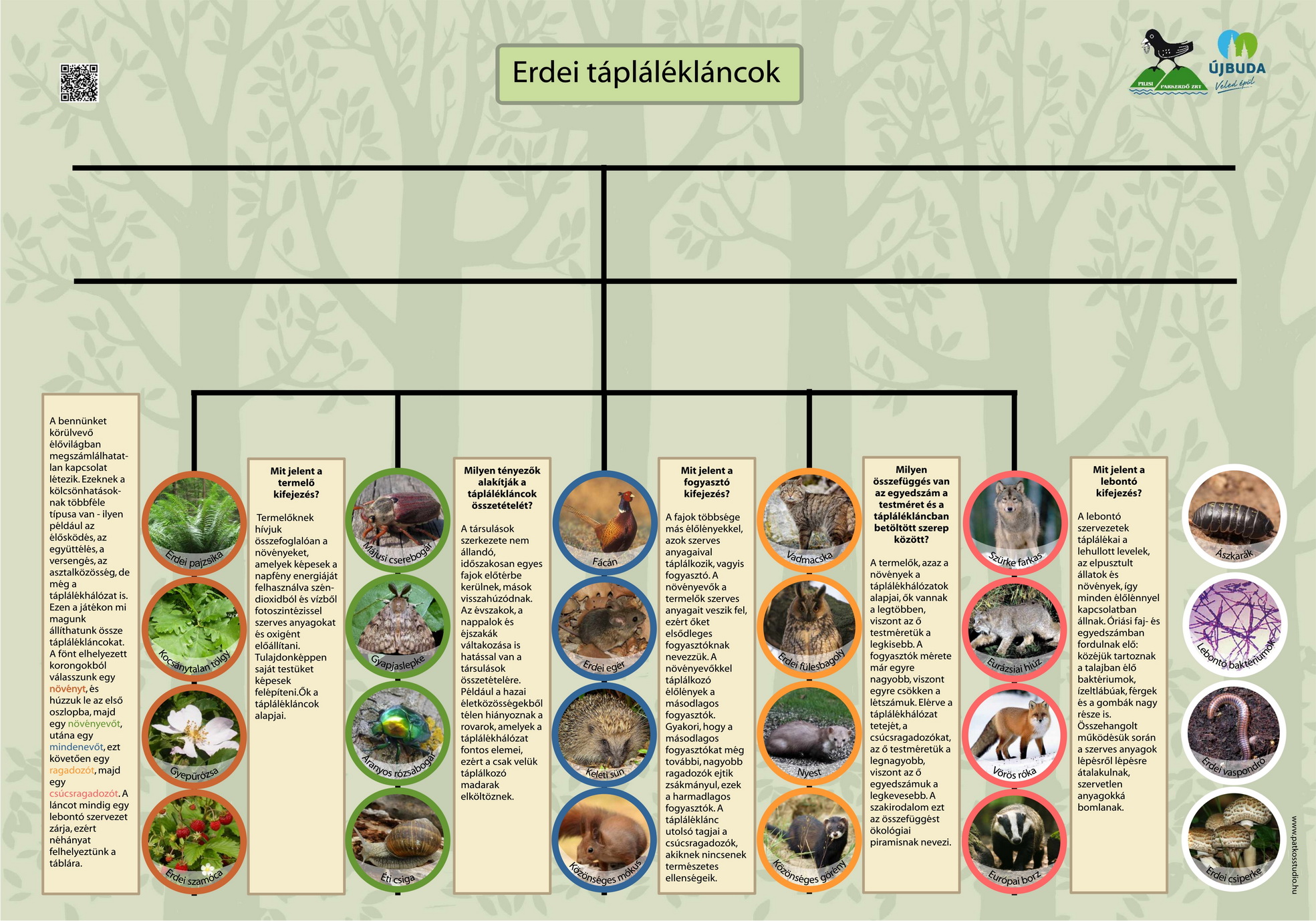 Il sentiero naturale di Kamaraerdő 
