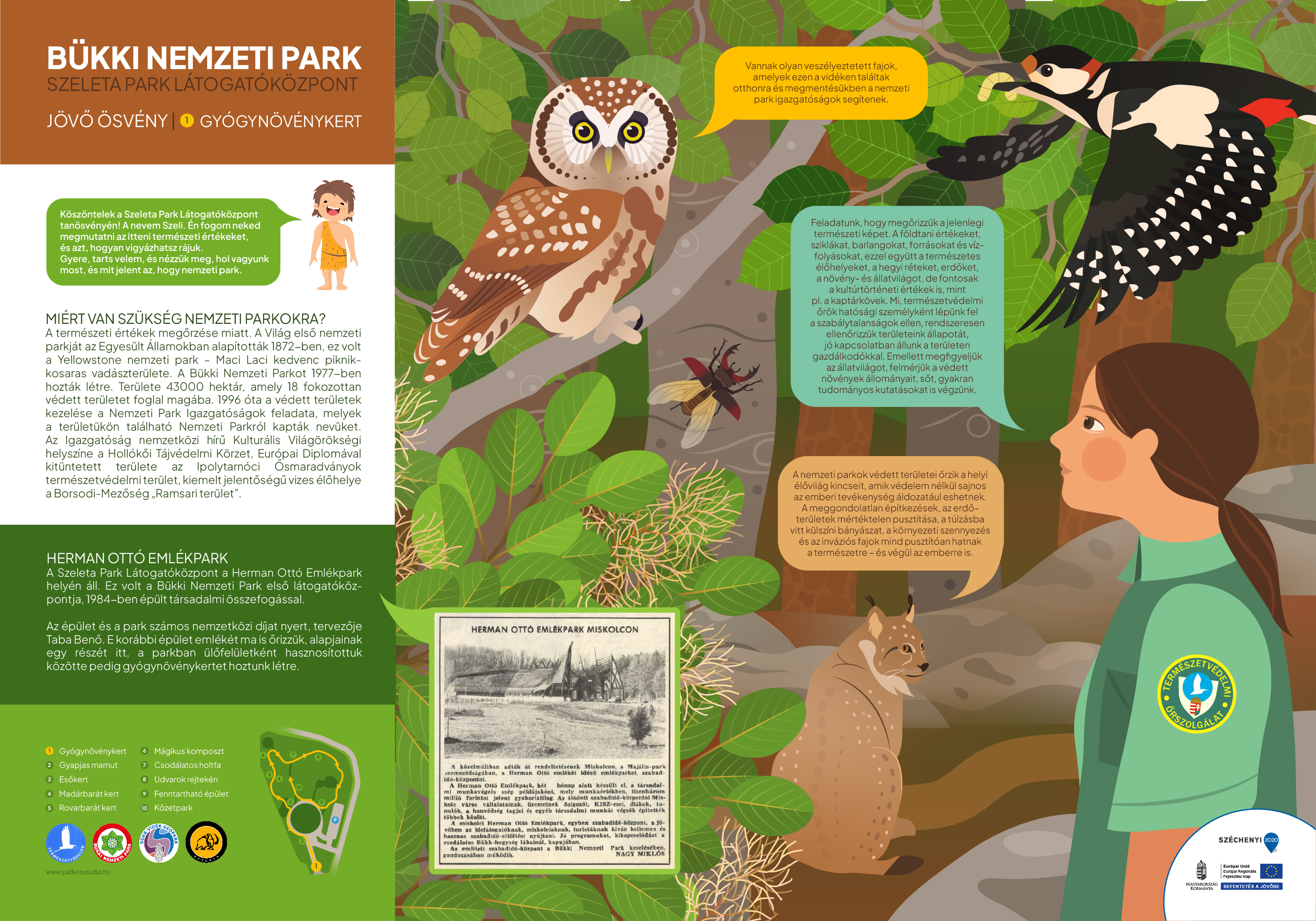 Jövő ösvény, Miskolc