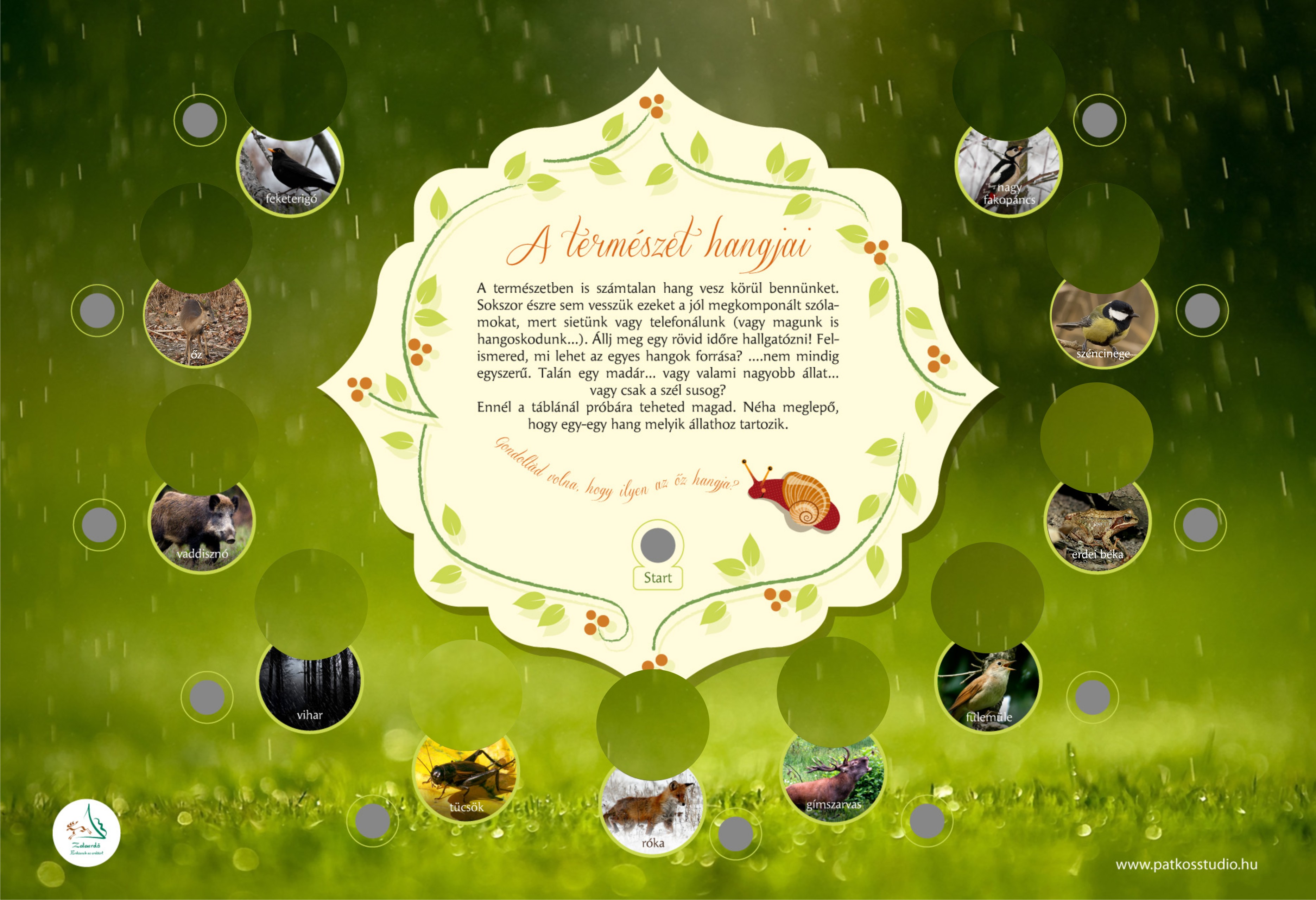 Cammino della lumaca