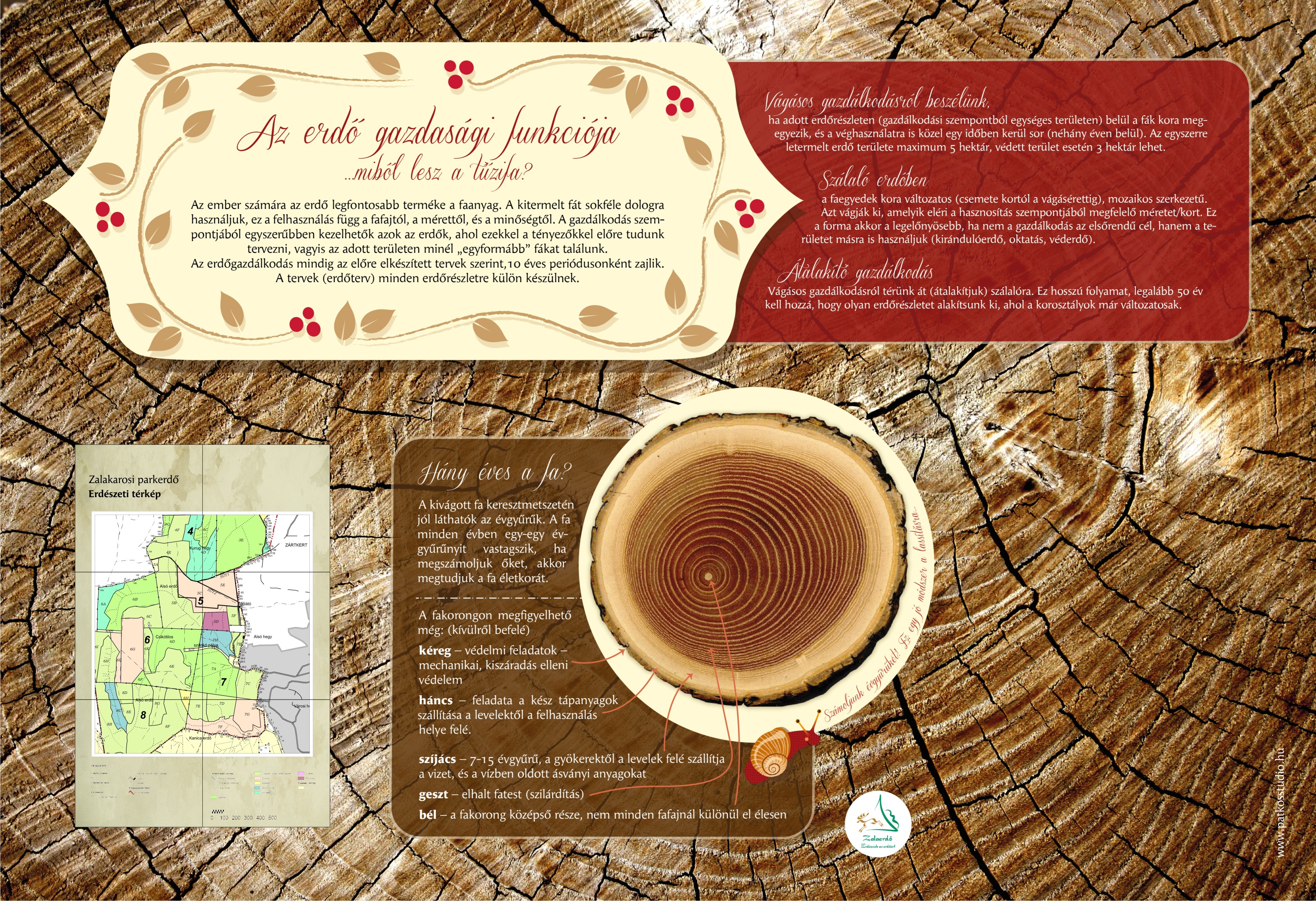 Cammino della lumaca