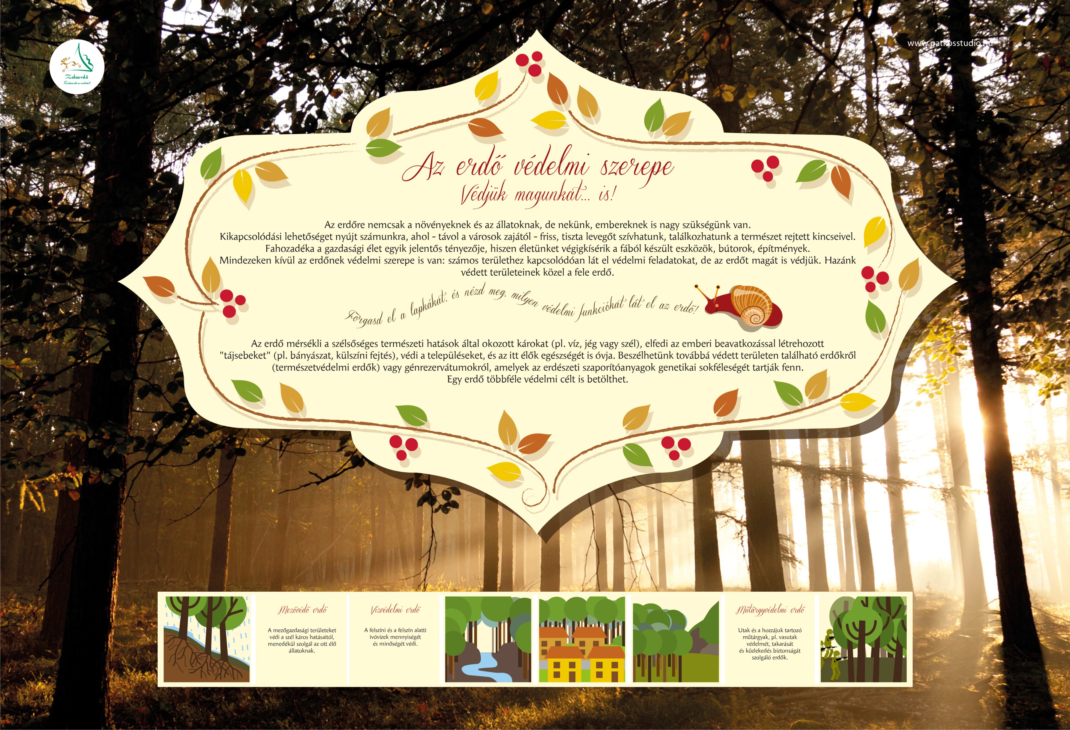 Cammino della lumaca