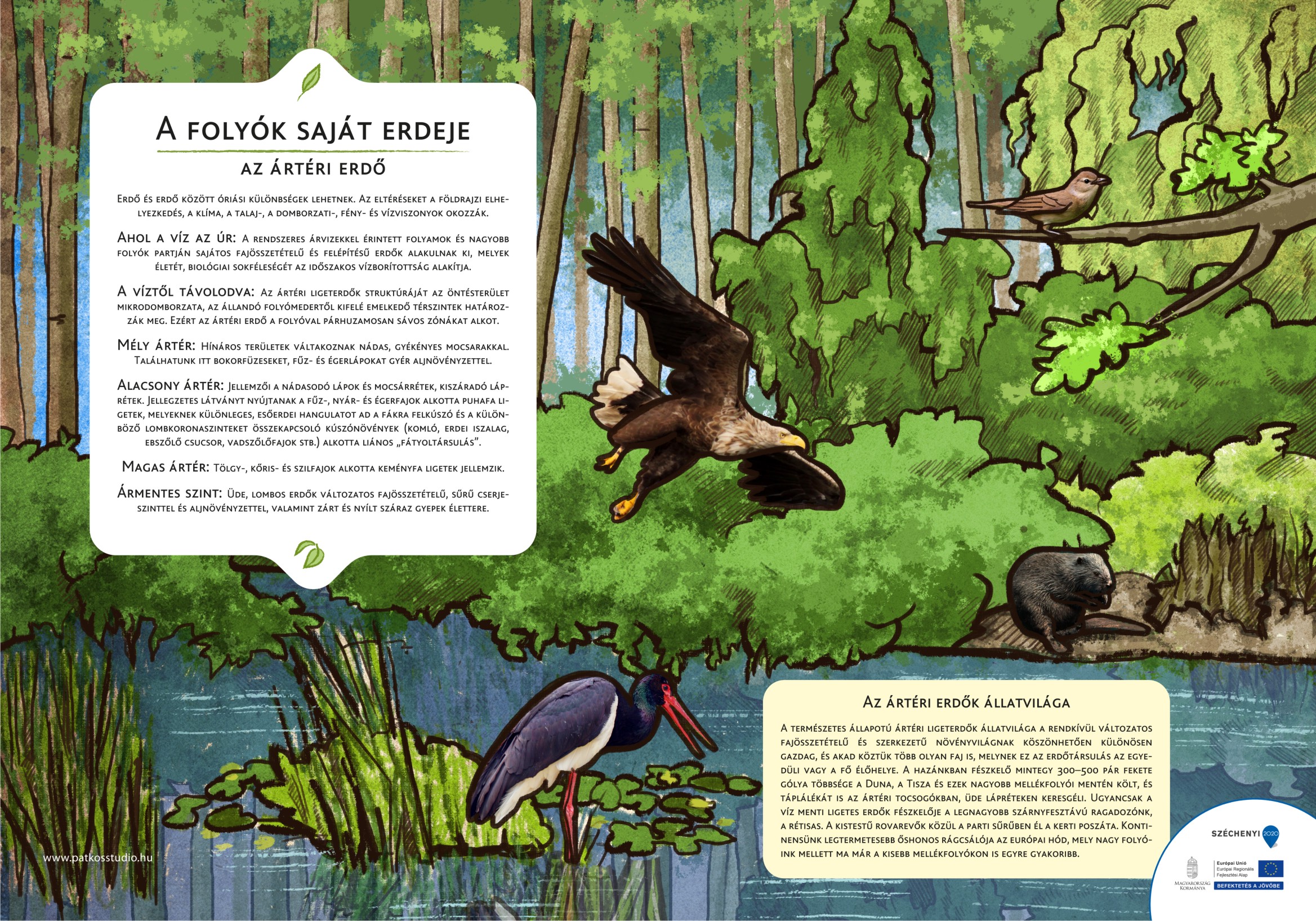 Sentiero naturale del Boschetto Elisabetta