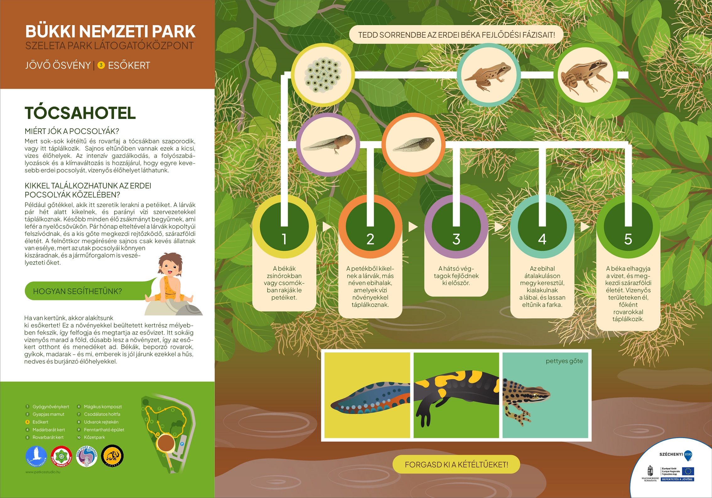 Jövő ösvény, Miskolc
