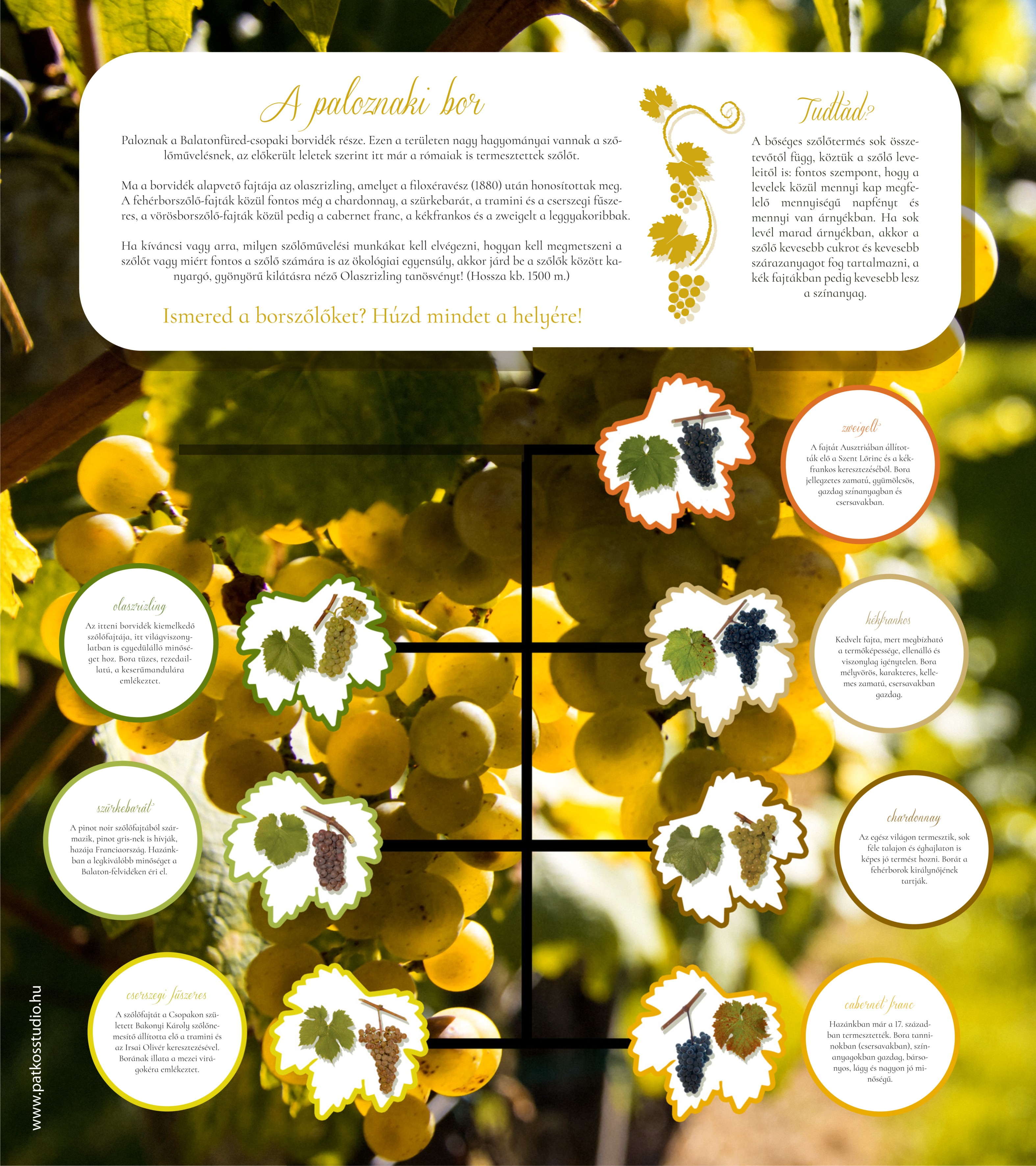 Sosta ciclista alla riva del lago Balaton