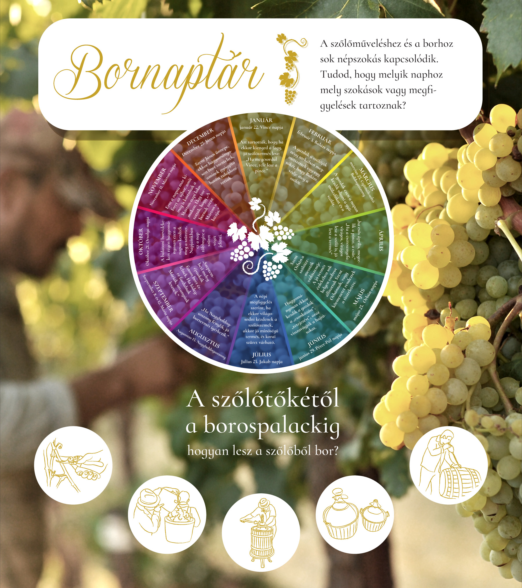 Sosta ciclista alla riva del lago Balaton