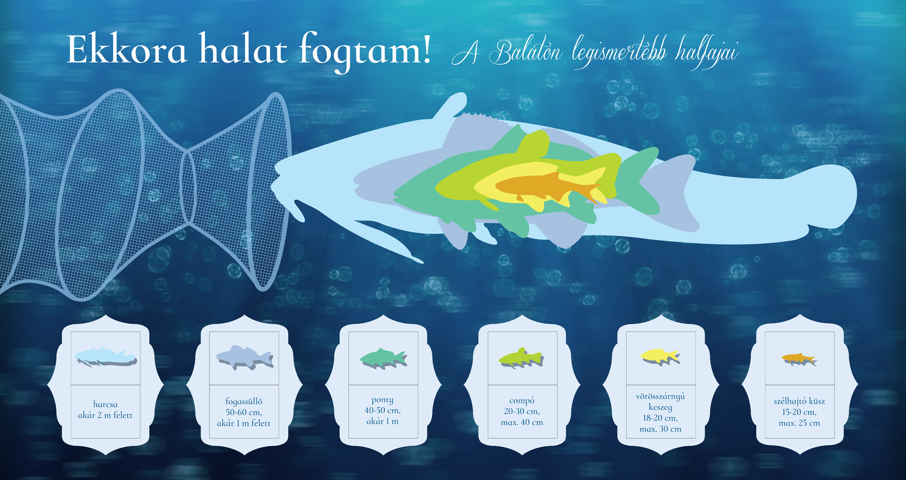 Sosta ciclista alla riva del lago Balaton