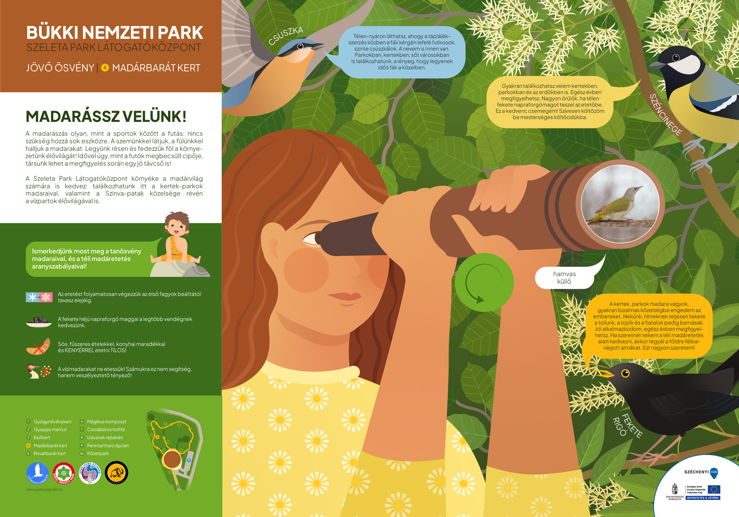 Jövő ösvény, Miskolc