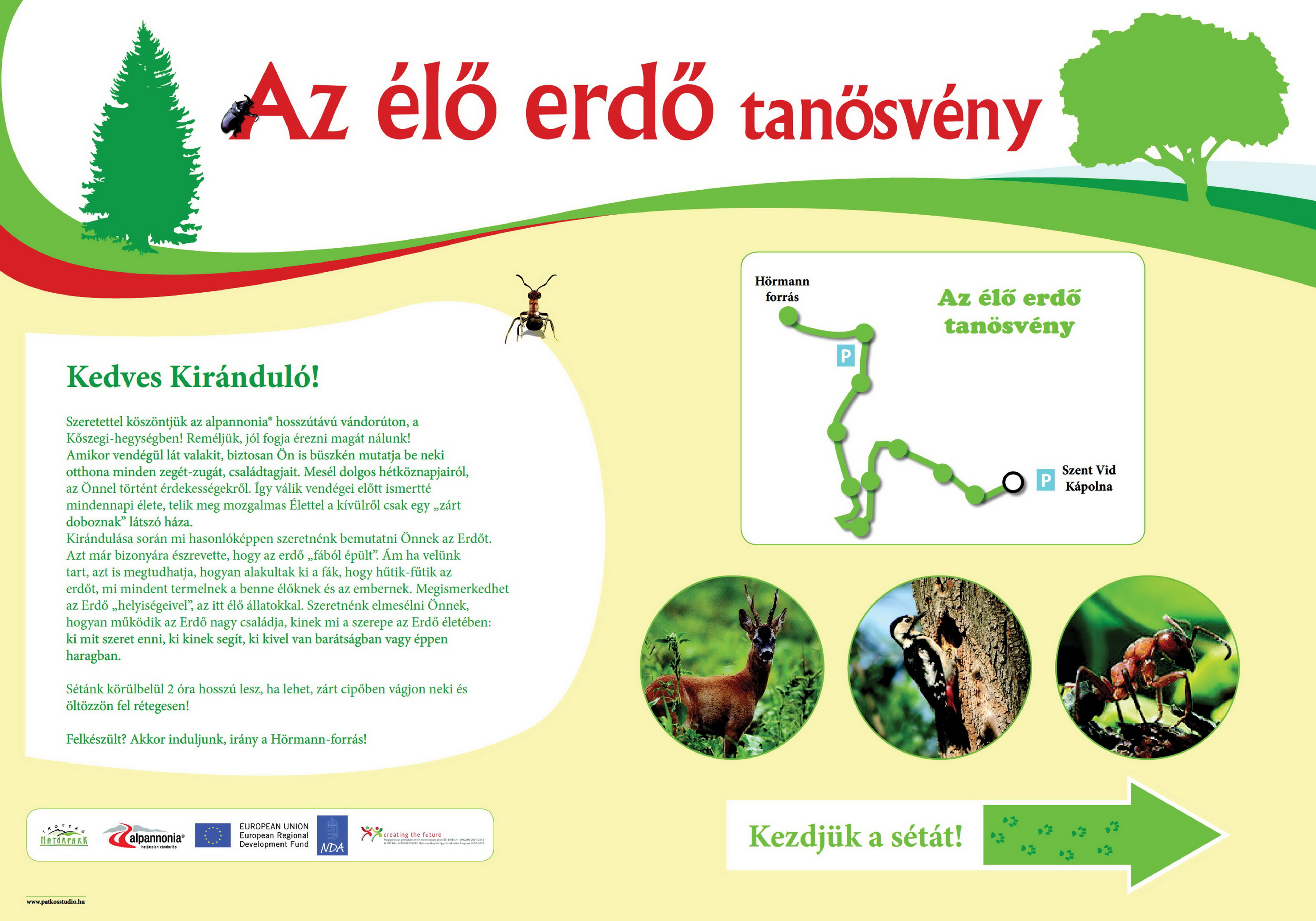 Élő erdő tanösvény - Kőszegi-hegység