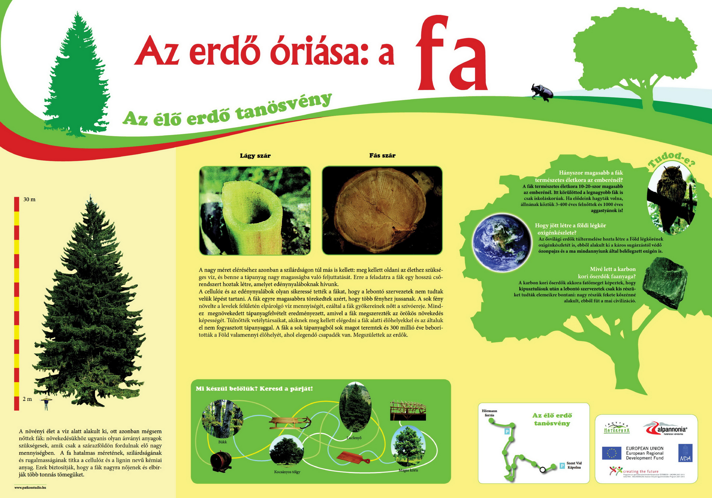 Élő erdő tanösvény - Kőszegi-hegység