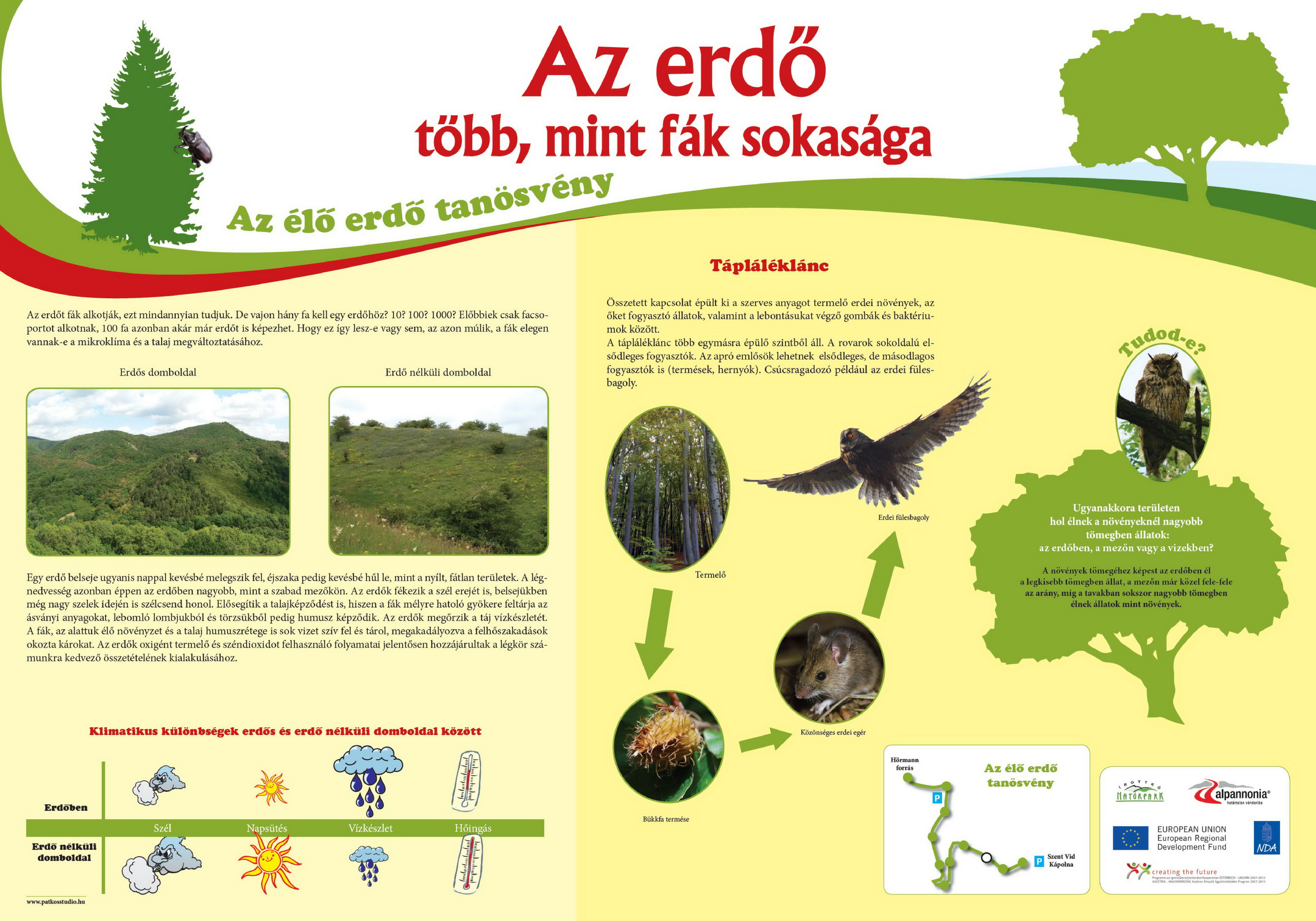 Élő erdő tanösvény - Kőszegi-hegység