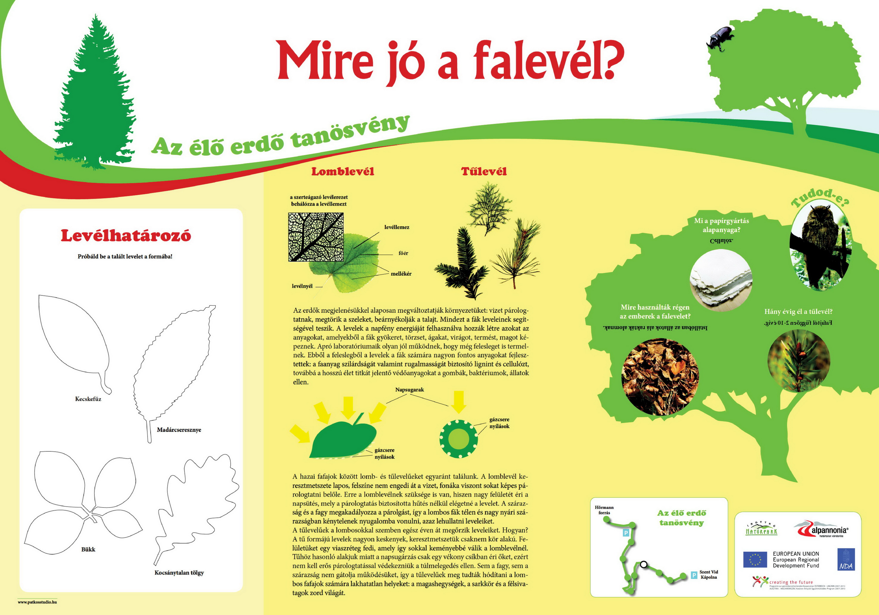 Élő erdő tanösvény - Kőszegi-hegység