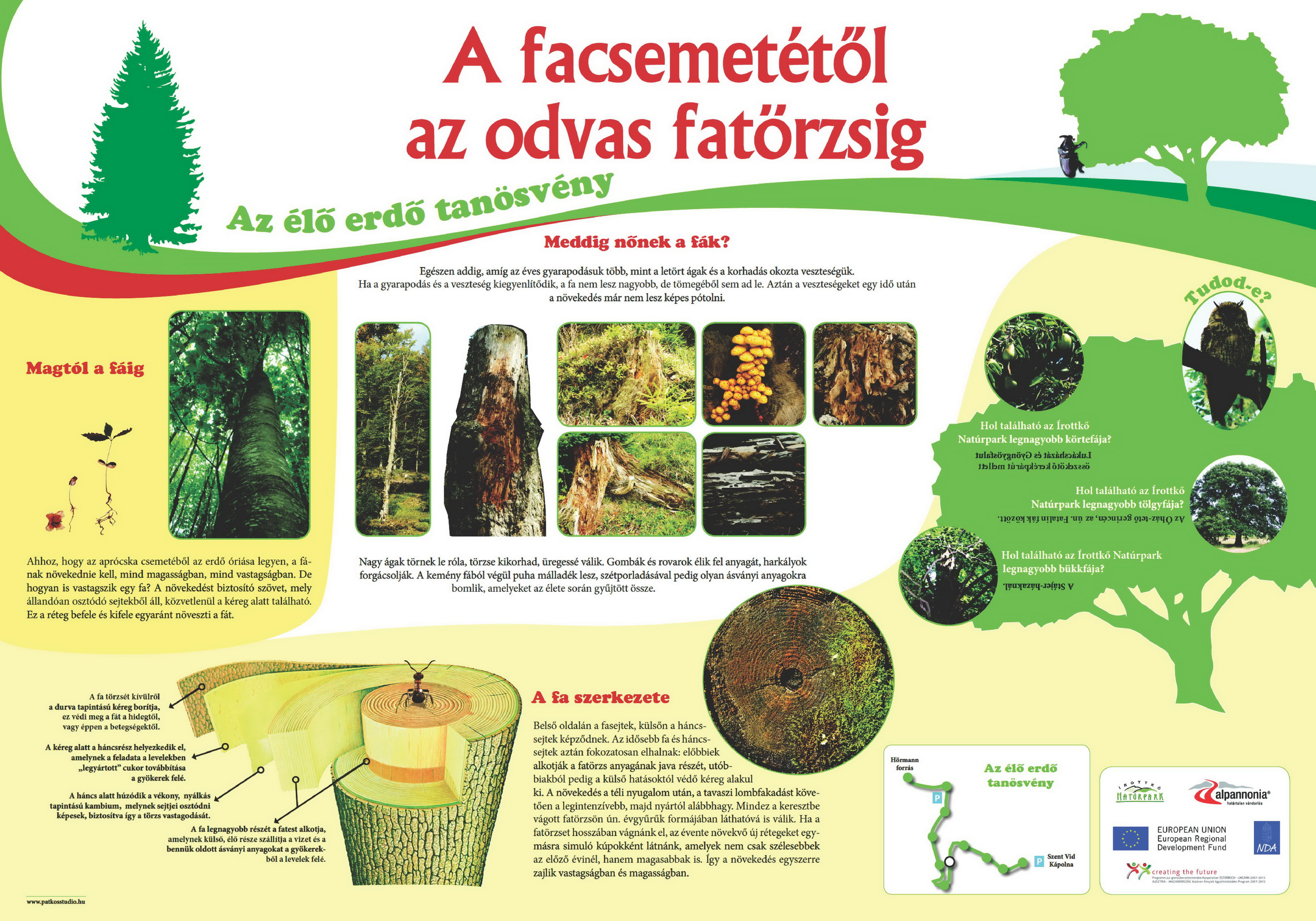 Élő erdő tanösvény - Kőszegi-hegység