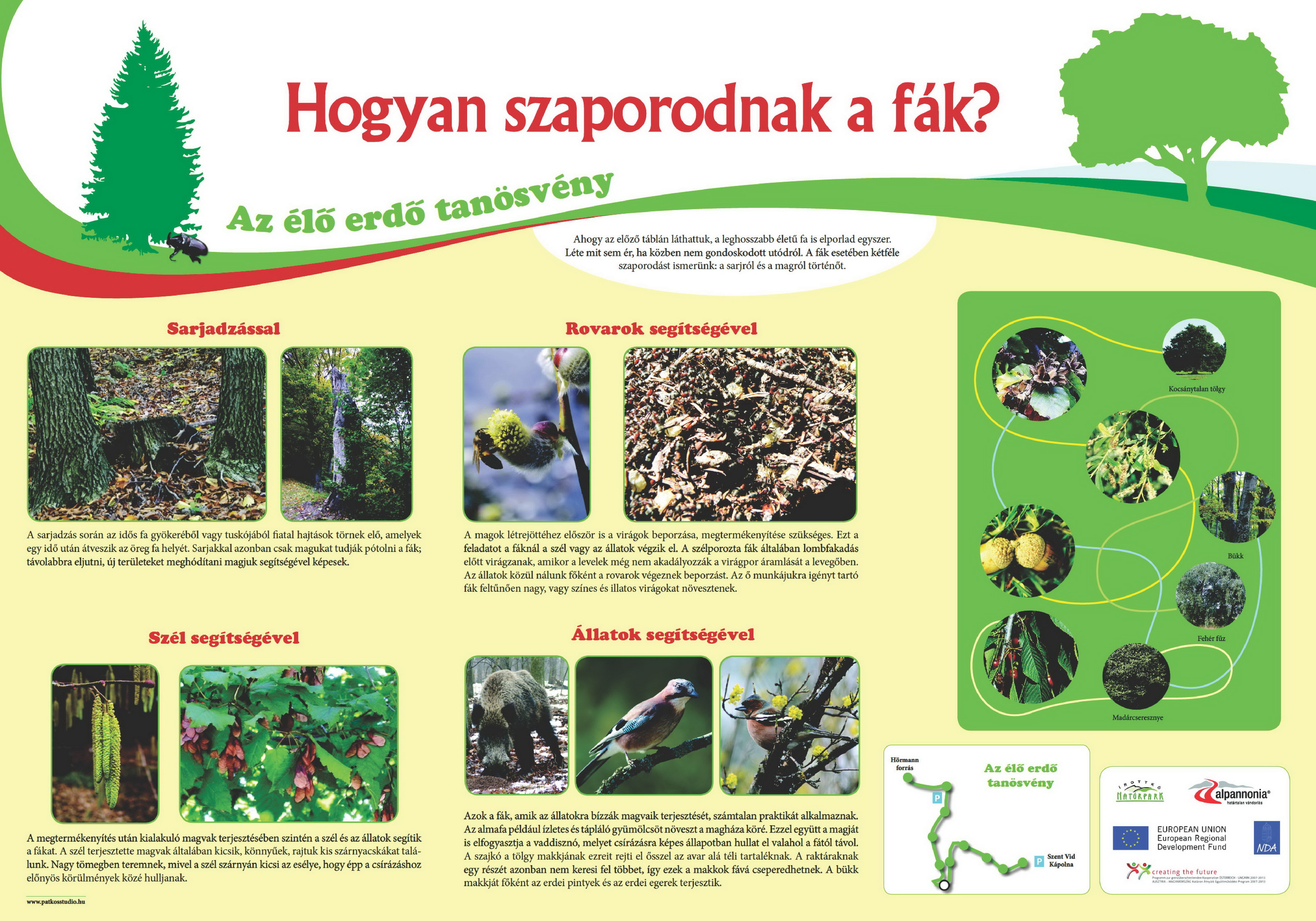 Élő erdő tanösvény - Kőszegi-hegység