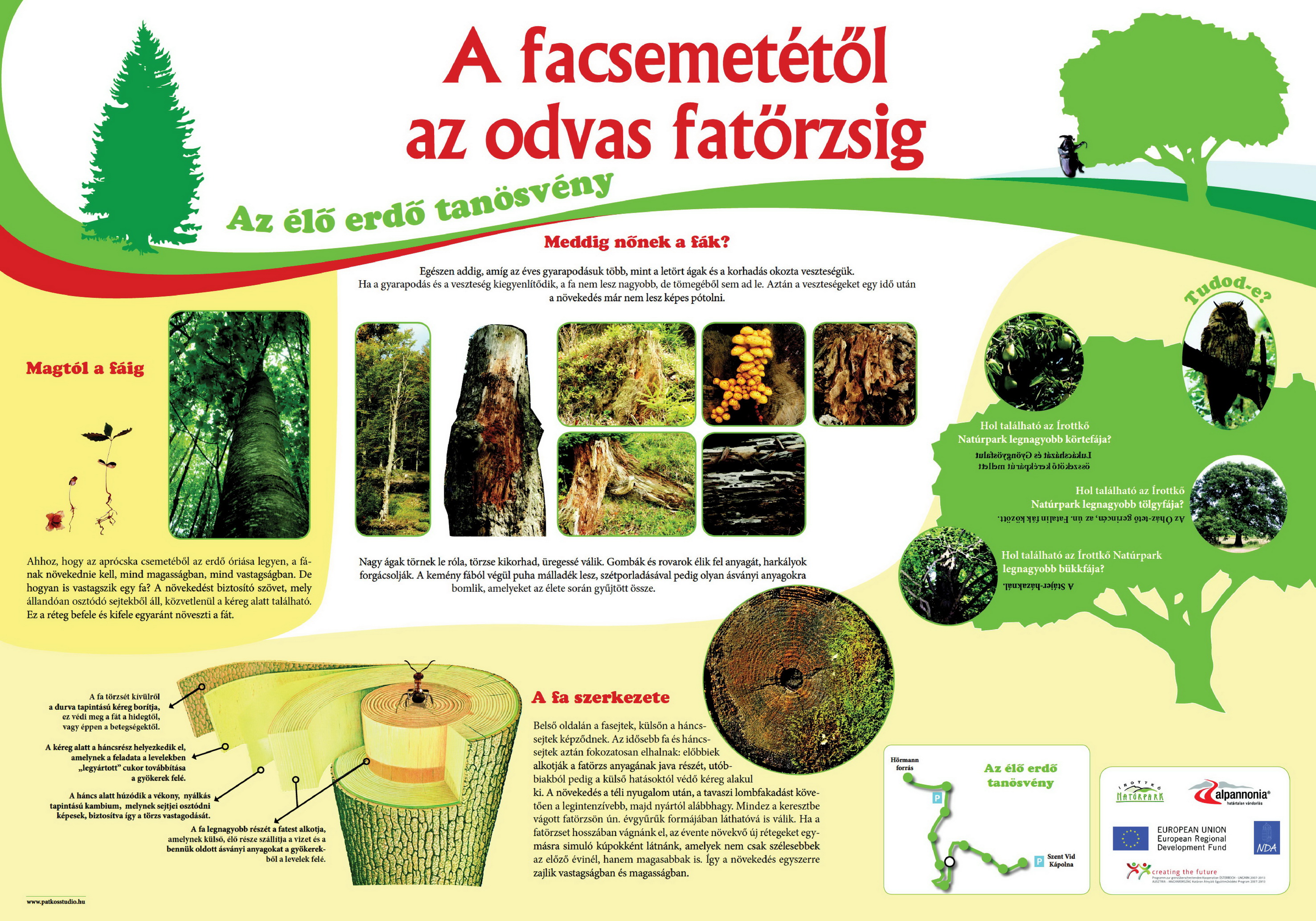 Élő erdő tanösvény - Kőszegi-hegység