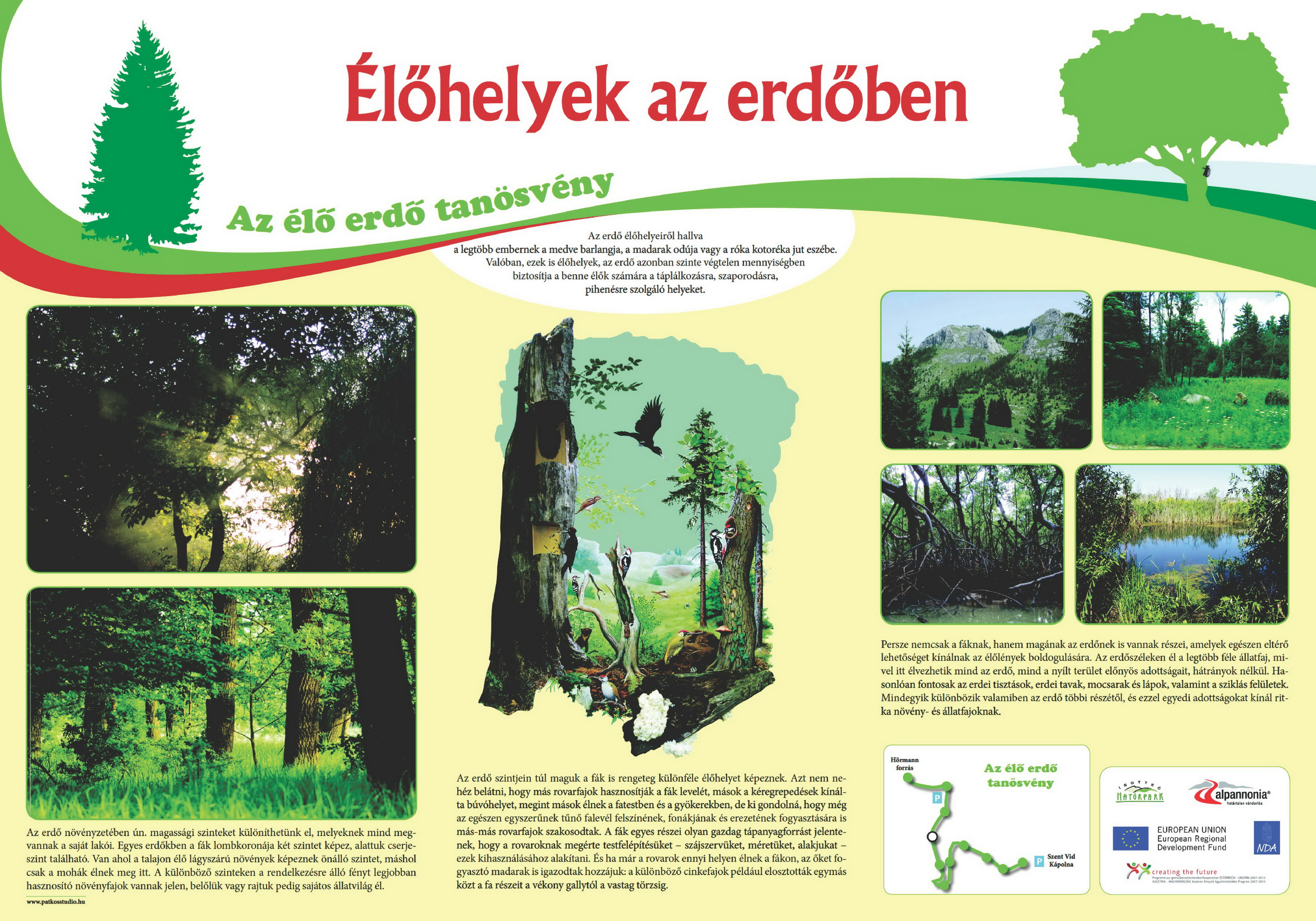 Élő erdő tanösvény - Kőszegi-hegység