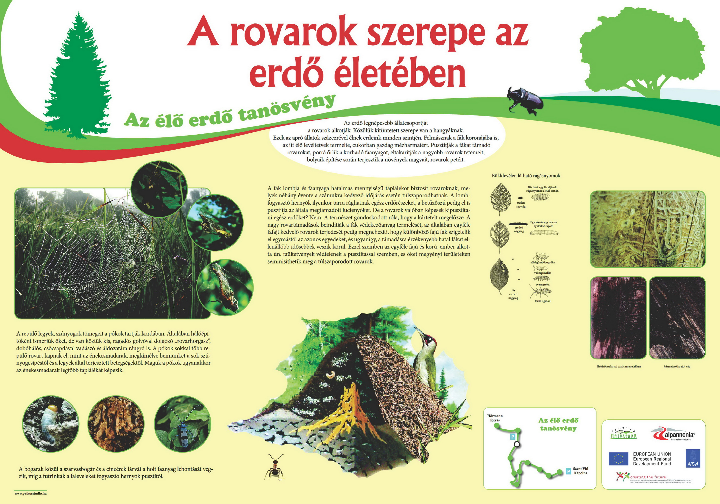 Élő erdő tanösvény - Kőszegi-hegység