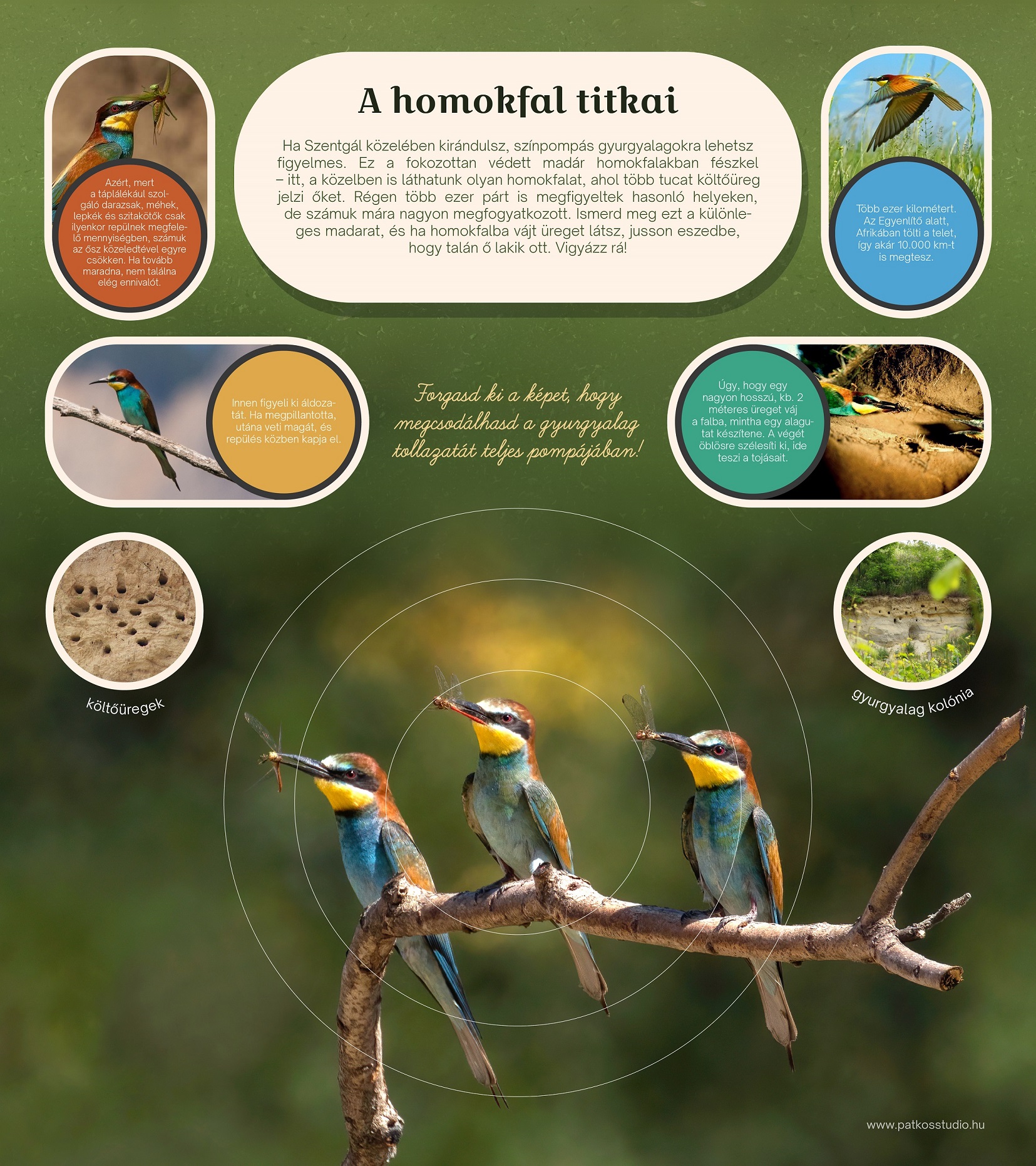 Biciklis pihenők Herenden és Szentgálon