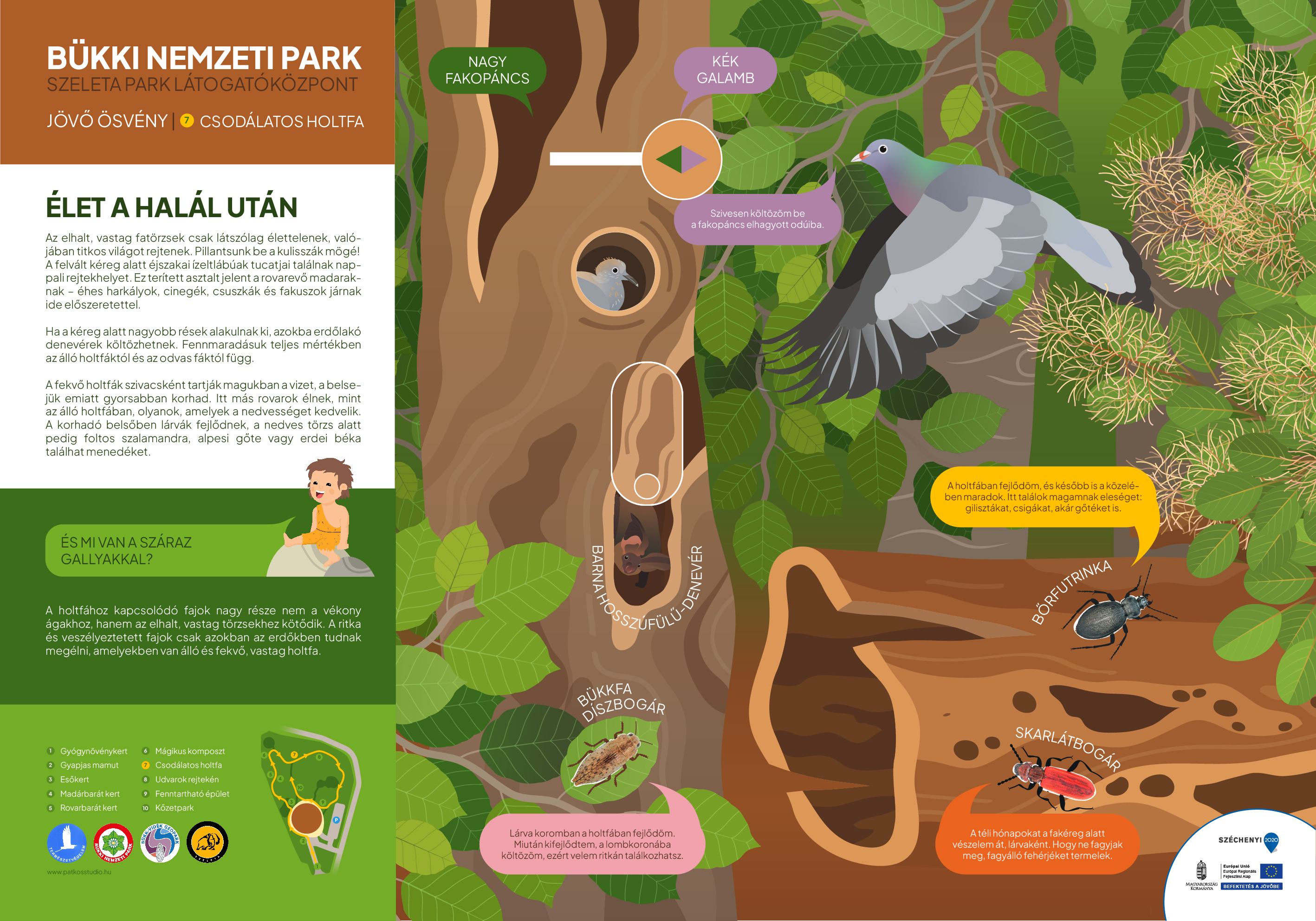 Jövő ösvény, Miskolc