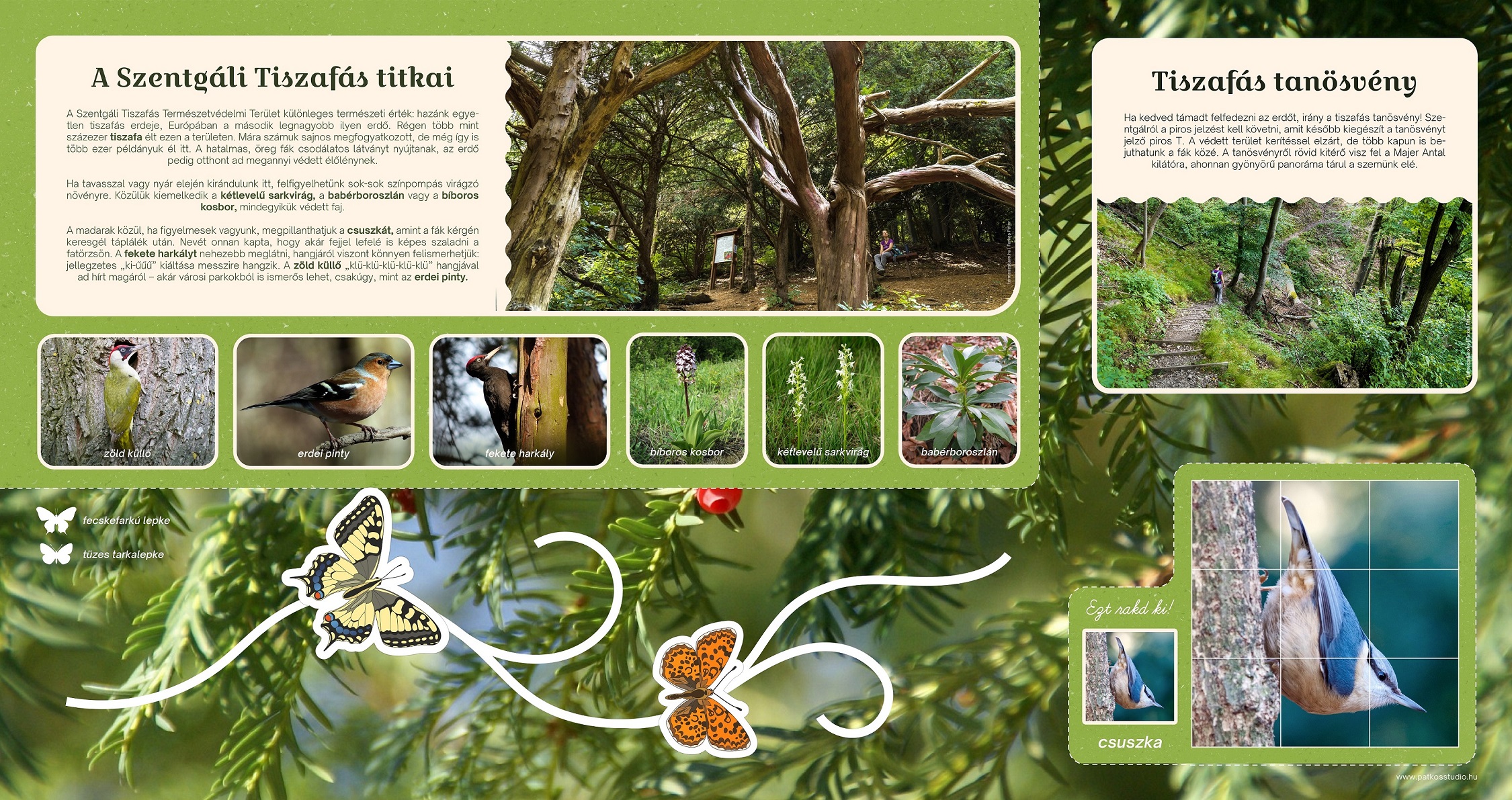 Biciklis pihenők Herenden és Szentgálon