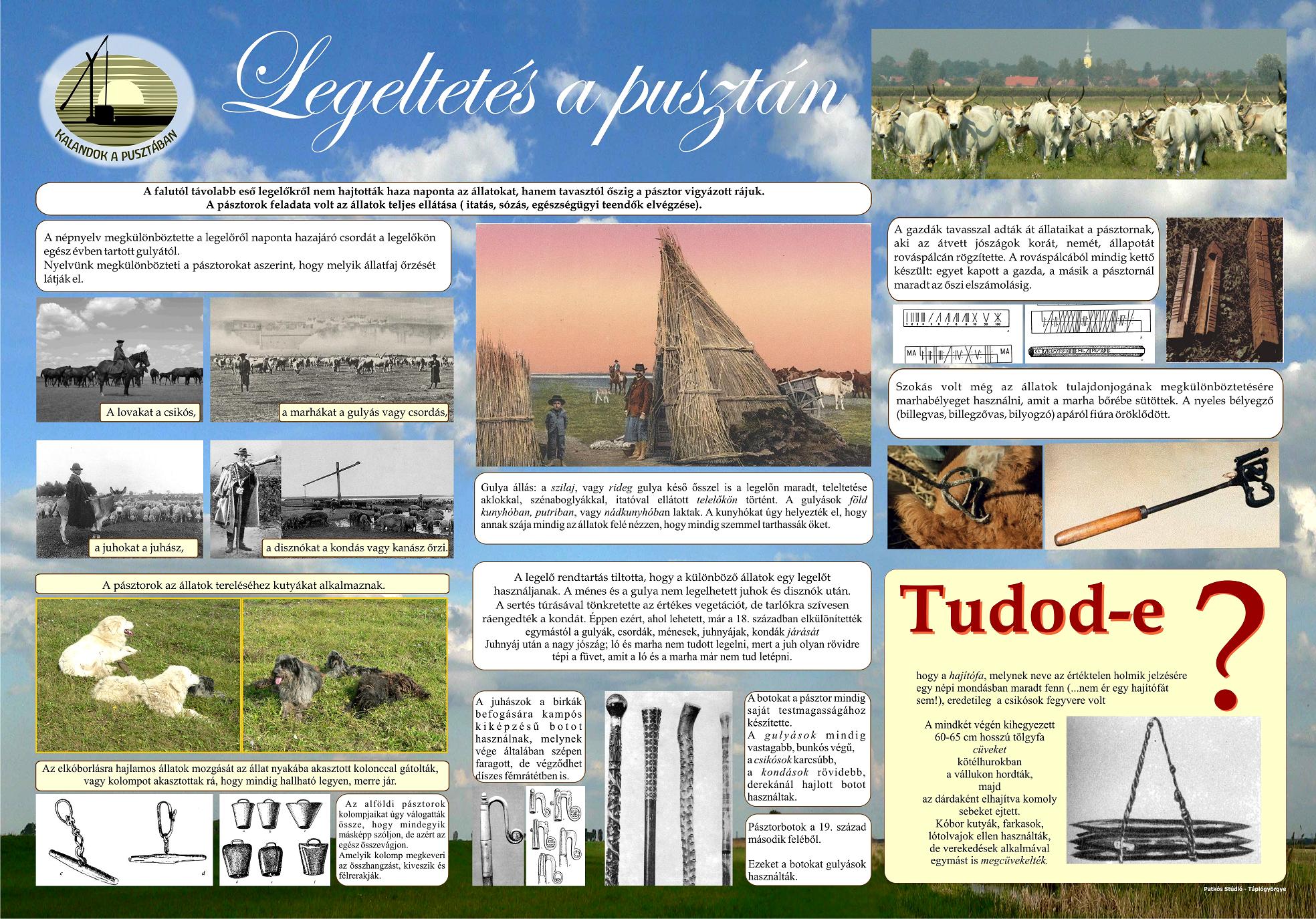 Kalandok a pusztában tanösvény - Tápiógyörgye