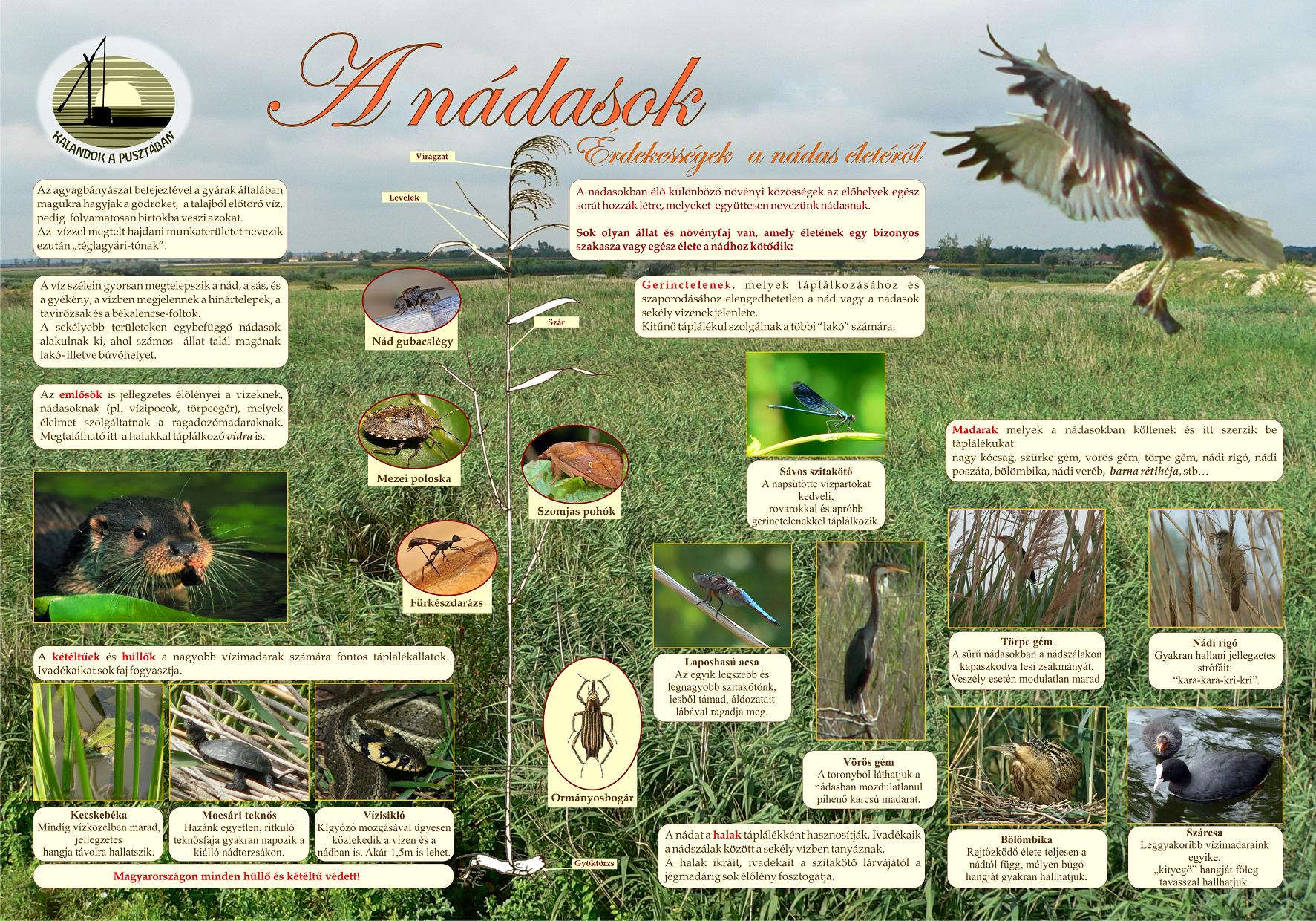 Kalandok a pusztában tanösvény - Tápiógyörgye