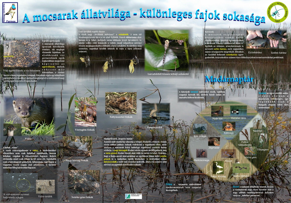 Kékbegy tanösvény - Farmos