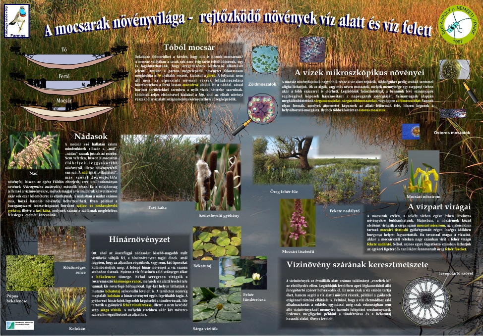 Kékbegy tanösvény - Farmos