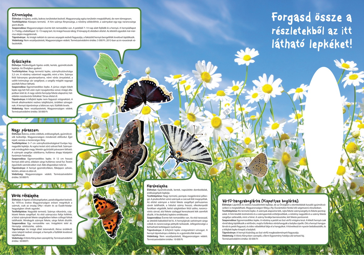 Élet a kaszáló gyümölcsösben tanösvény - Szalafő-Pityerszer