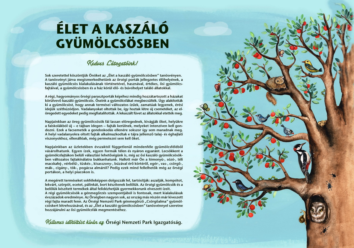 Élet a kaszáló gyümölcsösben tanösvény - Szalafő-Pityerszer