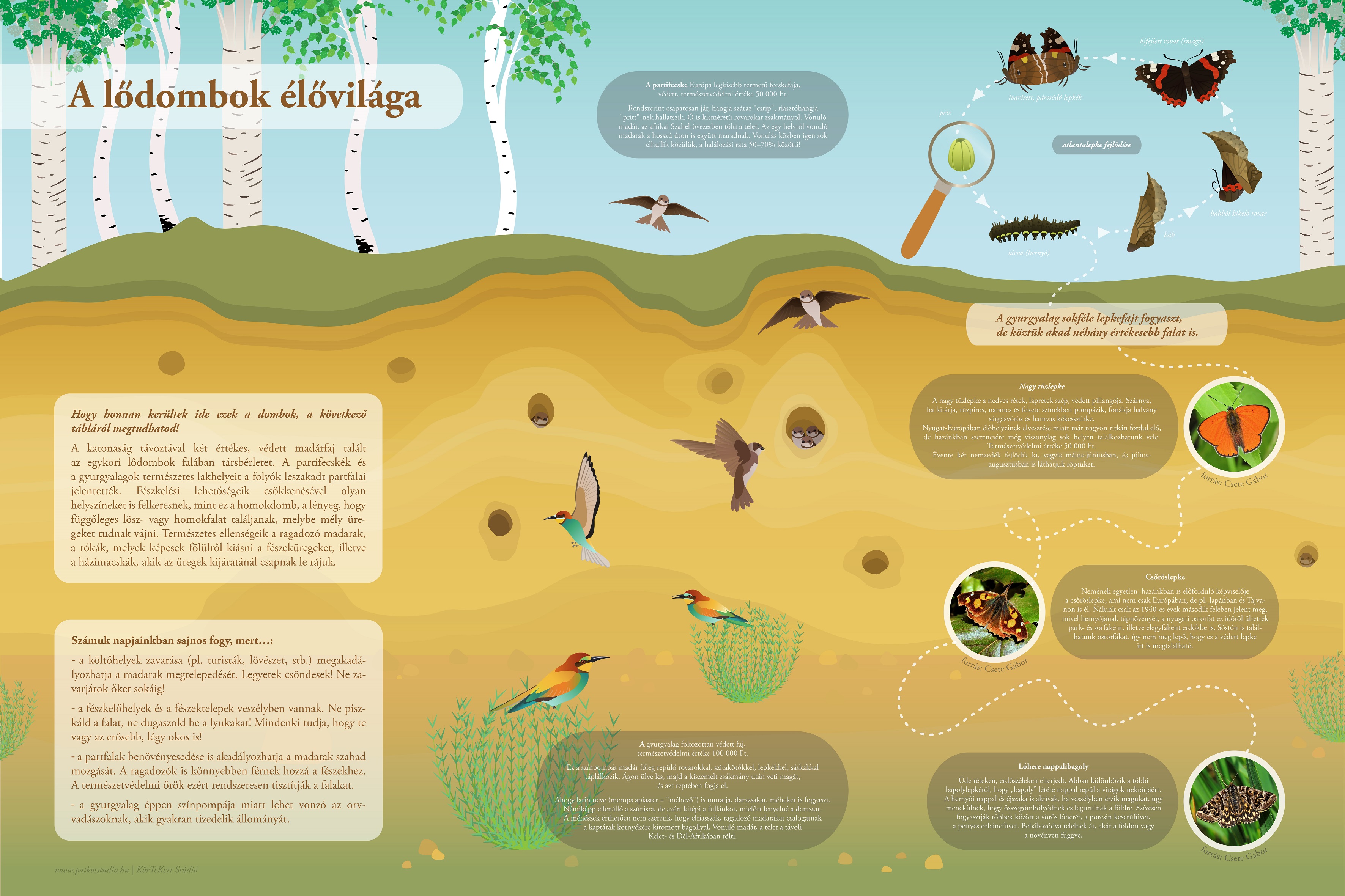 Educational trail at Sosto – Sentiero didattico alla riva del Sosto